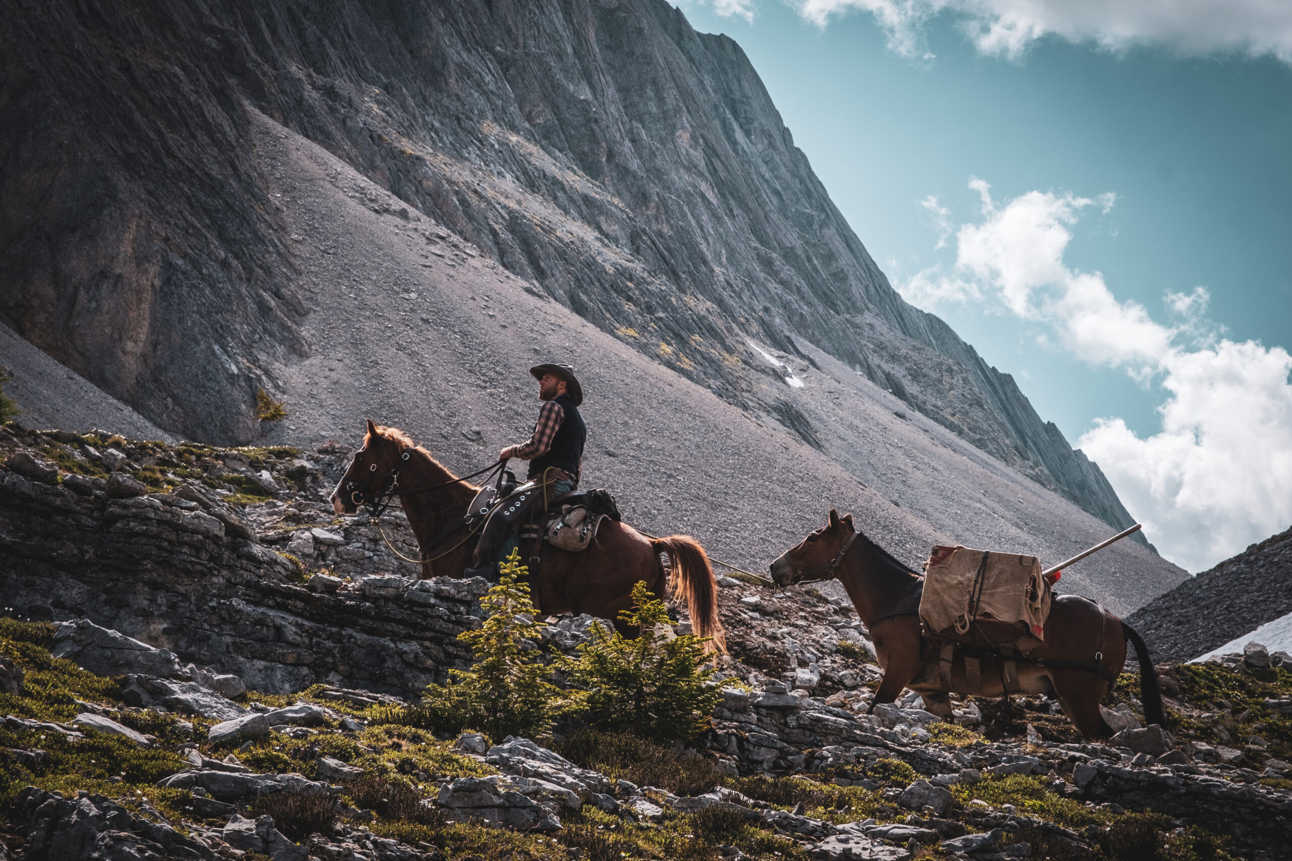 Lead Rider On Horseback With Pack Mule Heads Up Allenby Pass