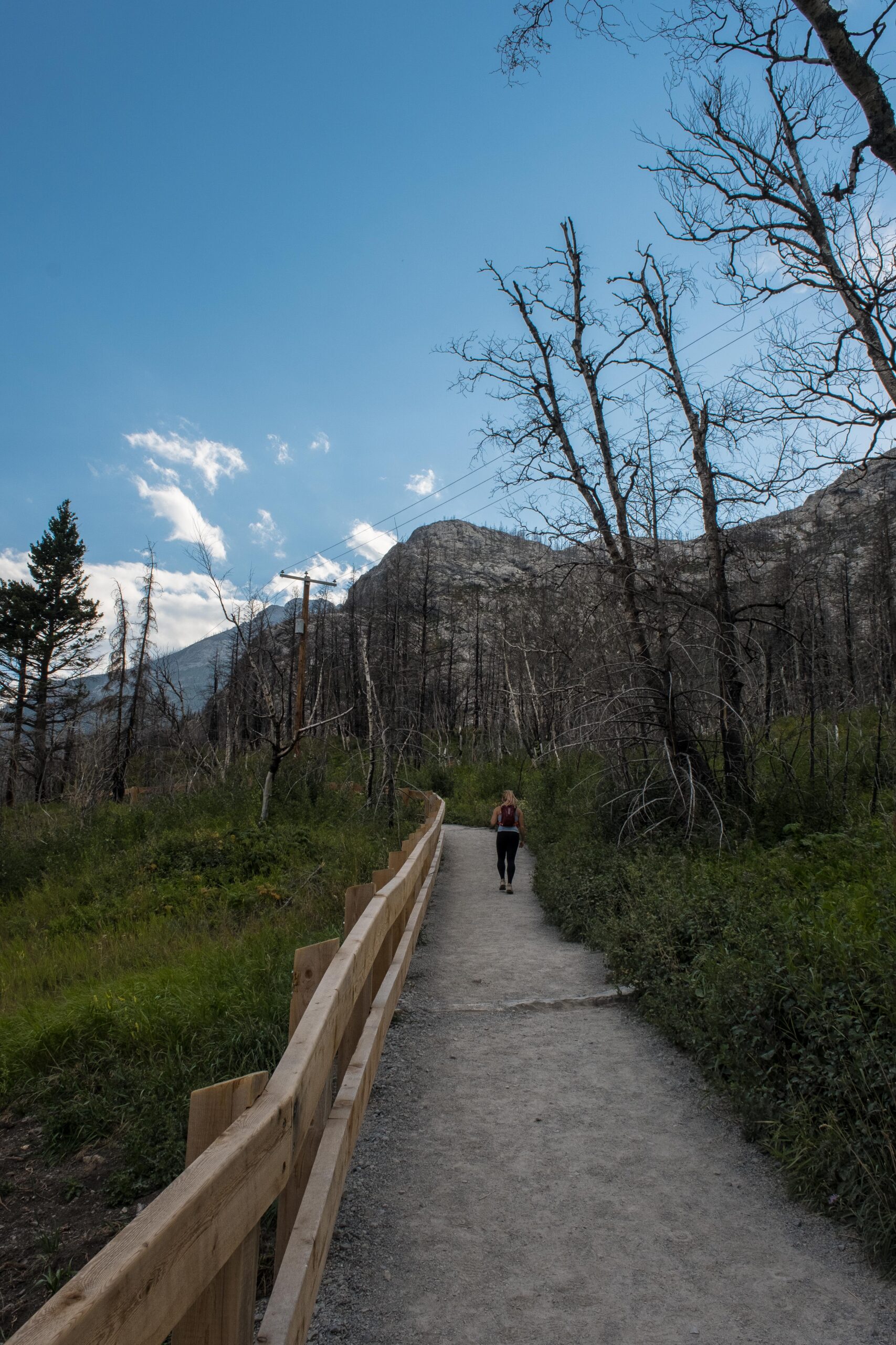 Hiking up the Bears Hump trail