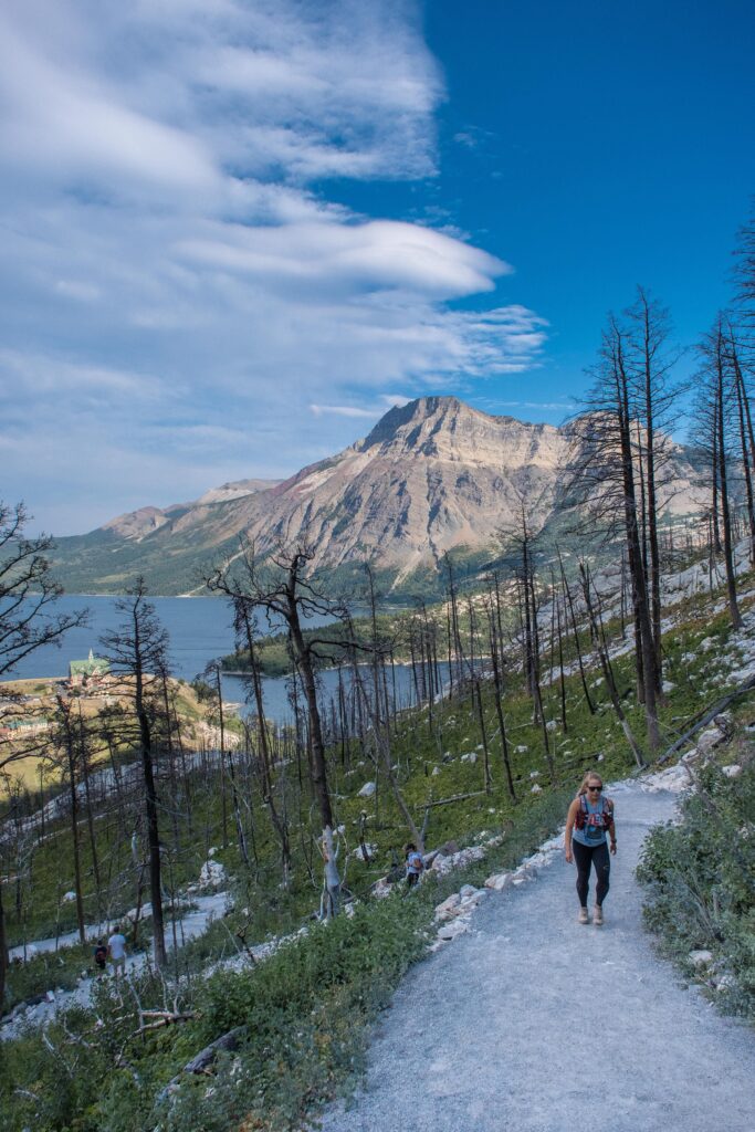 How To Hike Bear S Hump In Waterton National Park