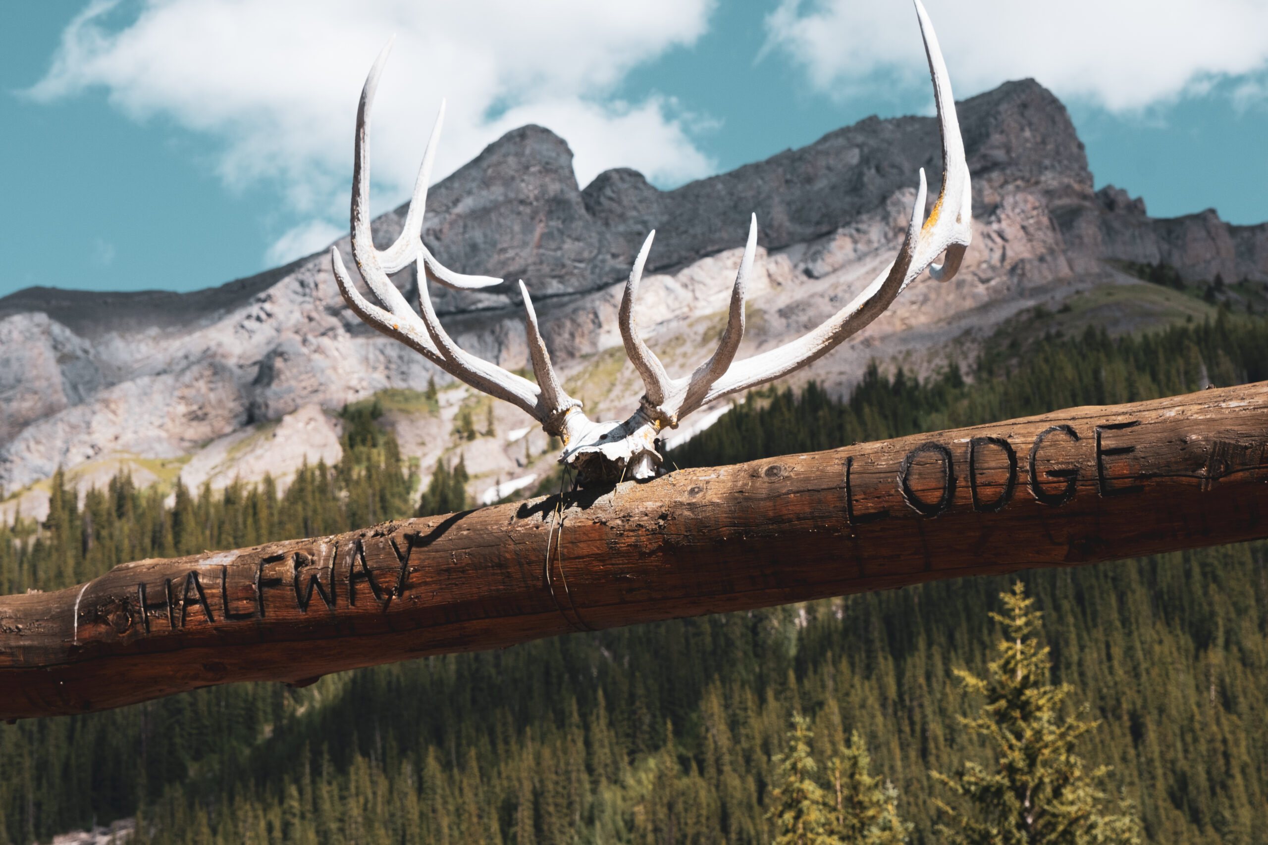 Elk Horns Above Sign For Halfway Lodge