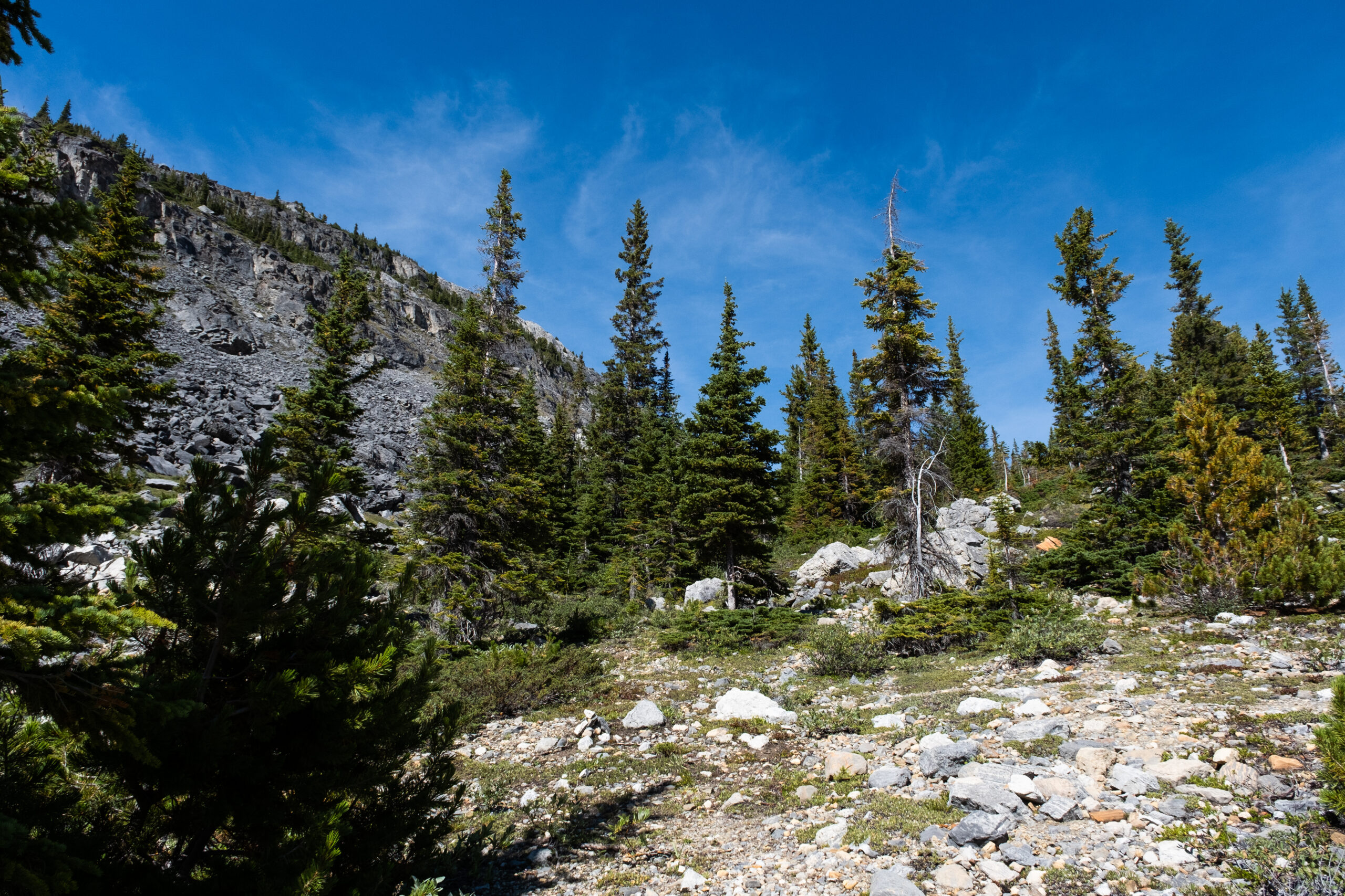 The start of the trail mount jimmy simpson