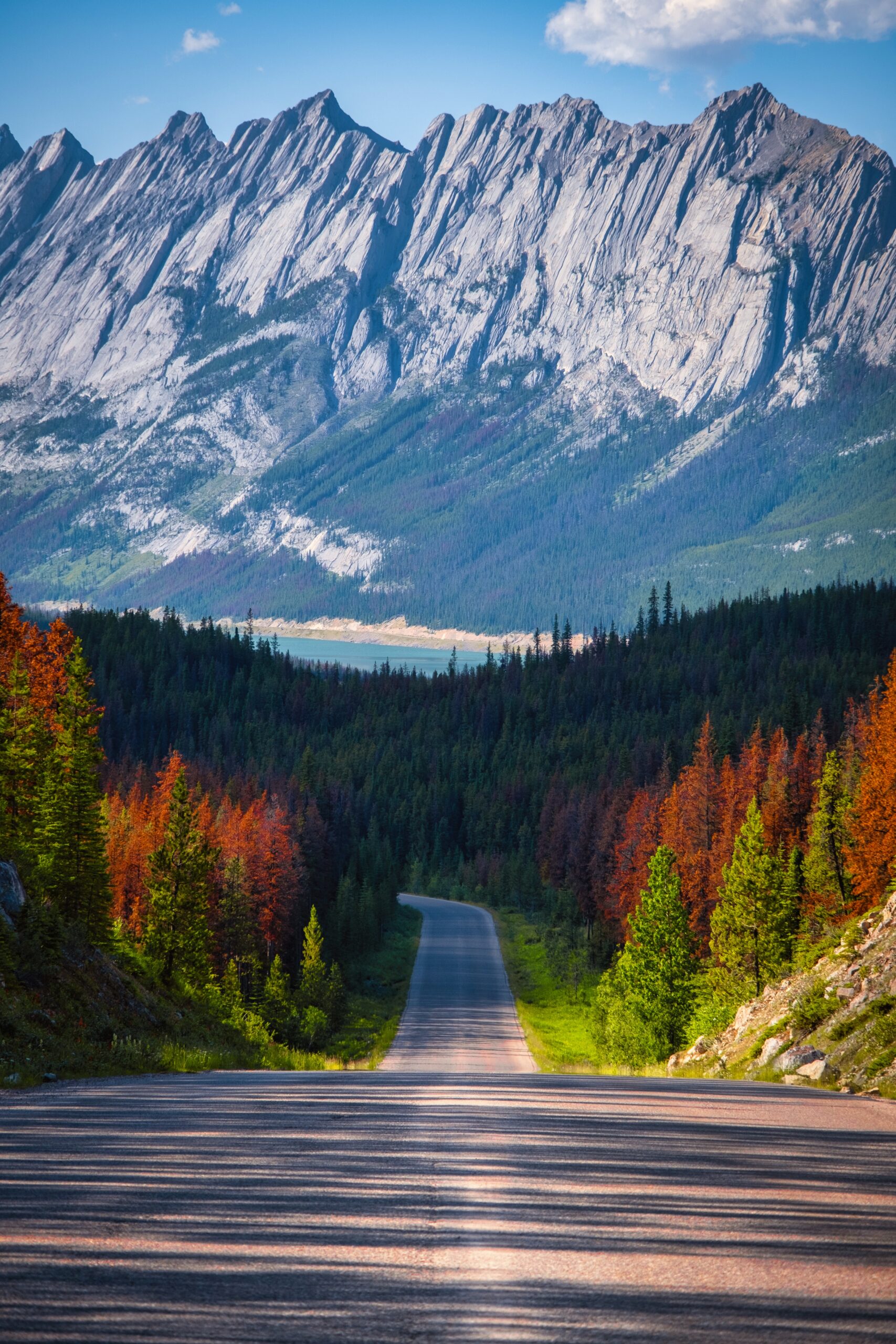 maligne lake road