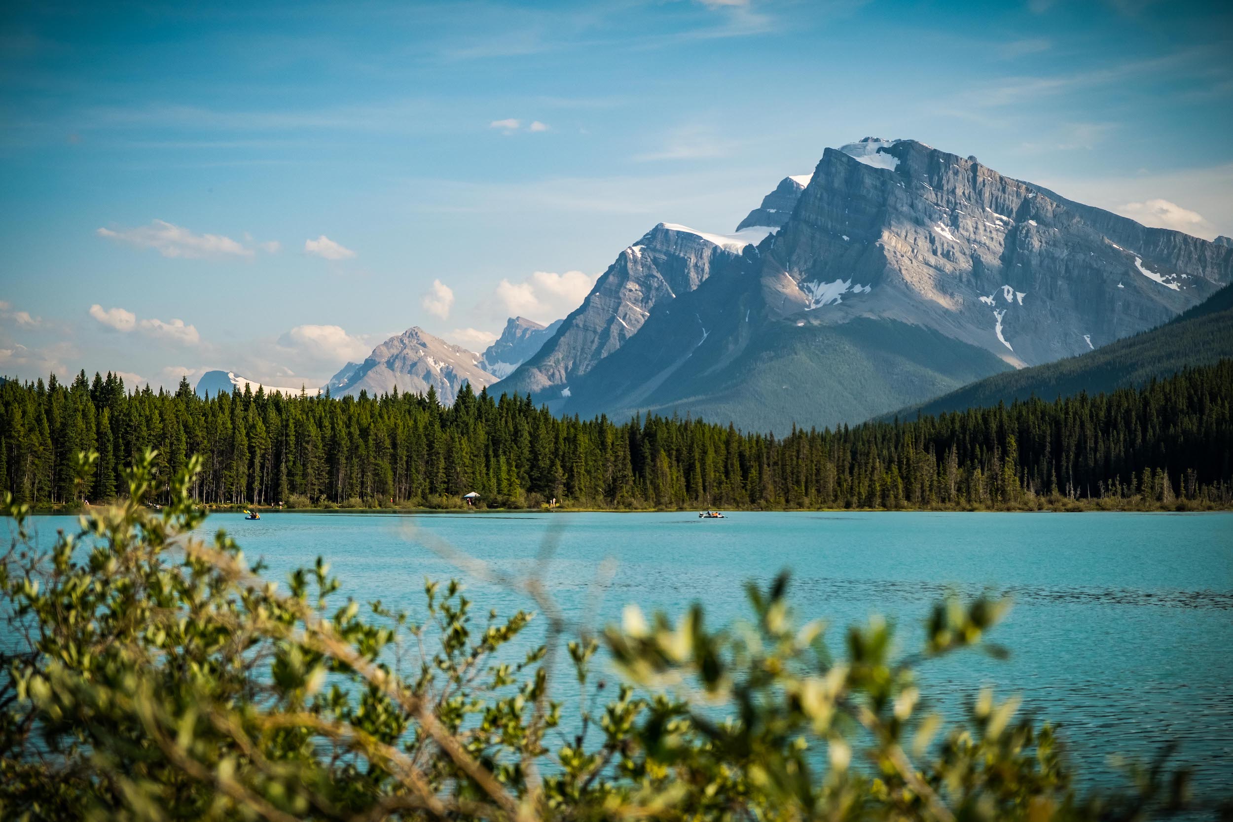 Waterfowl Lakes