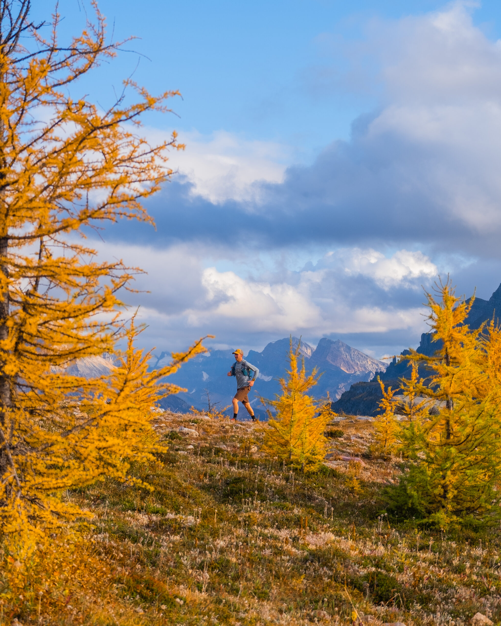 Healy Pass during larch season