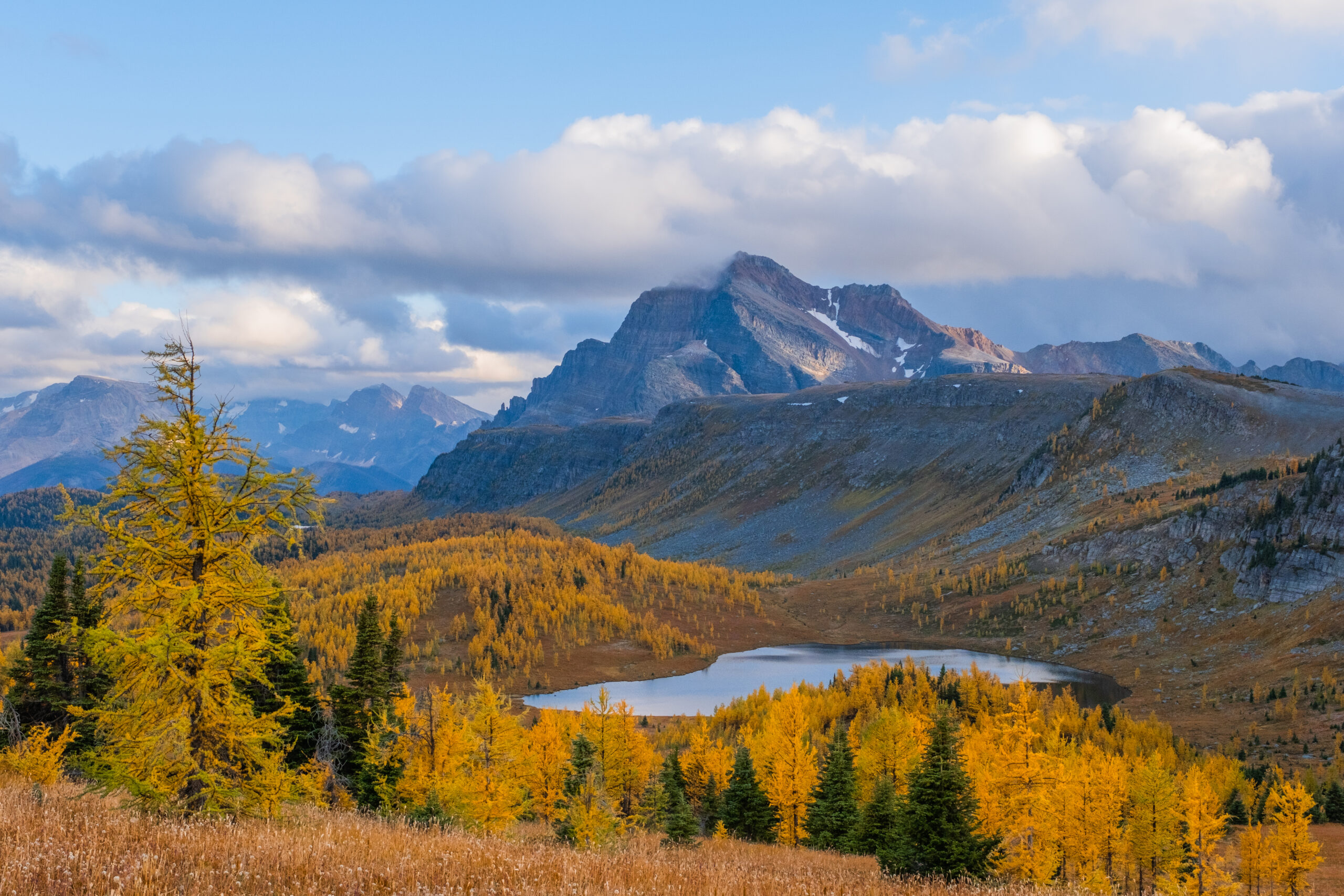 Healy Pass during larch season