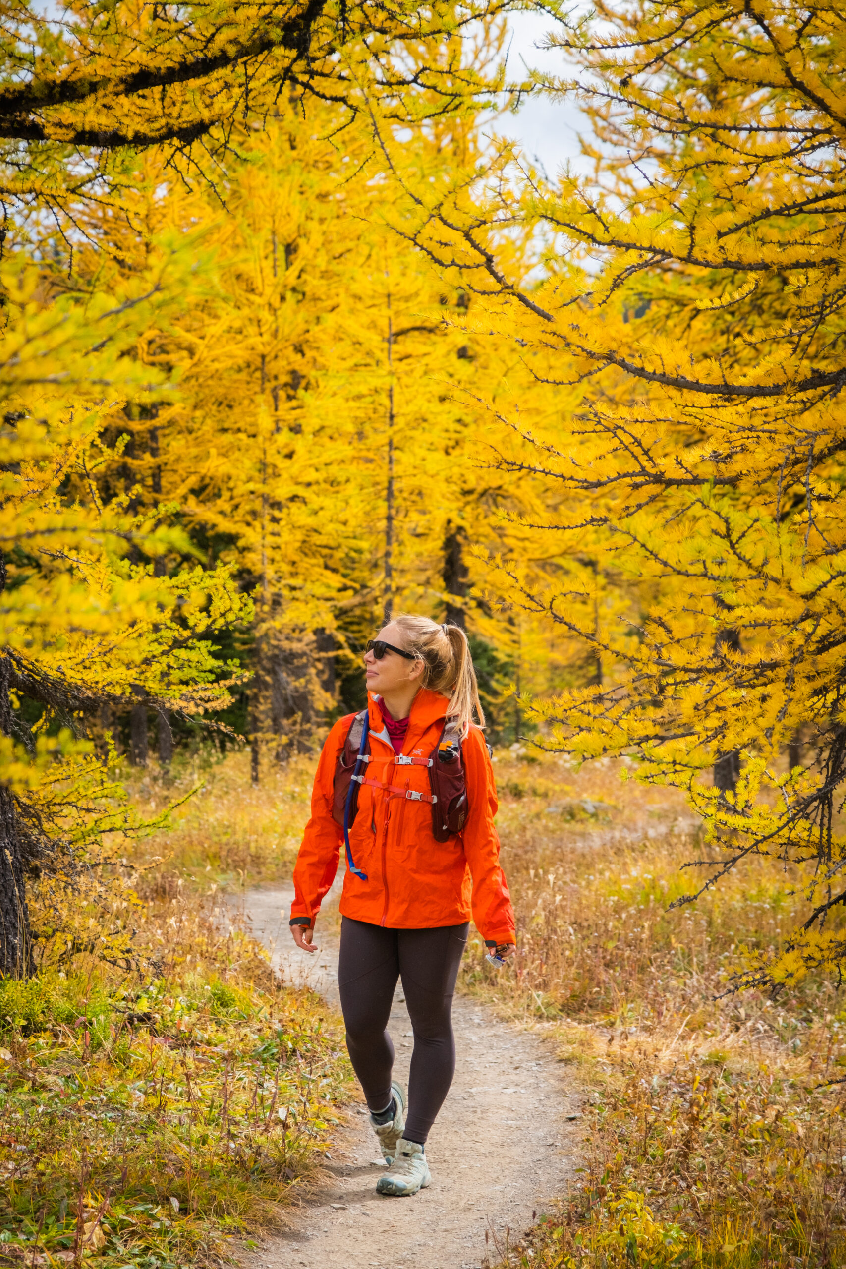 Natasha Hiking Through Healy Pass In September Through Larches