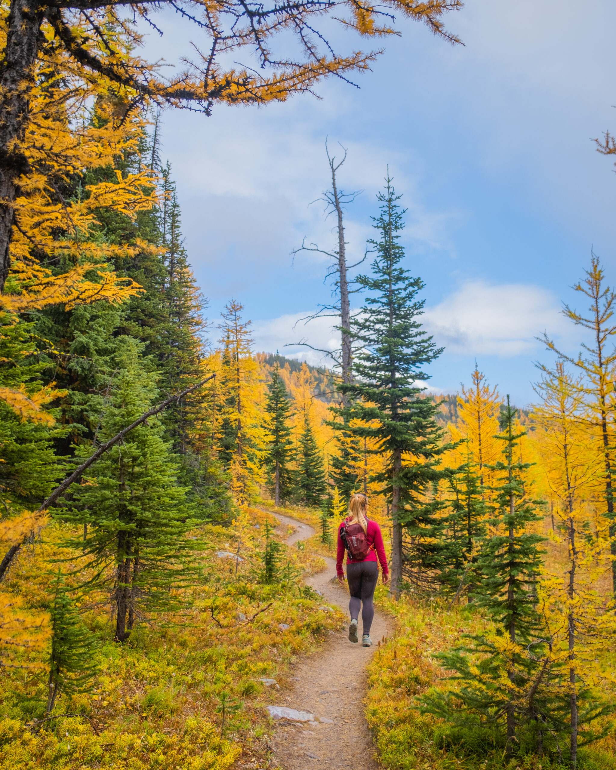 Healy Pass during larch season