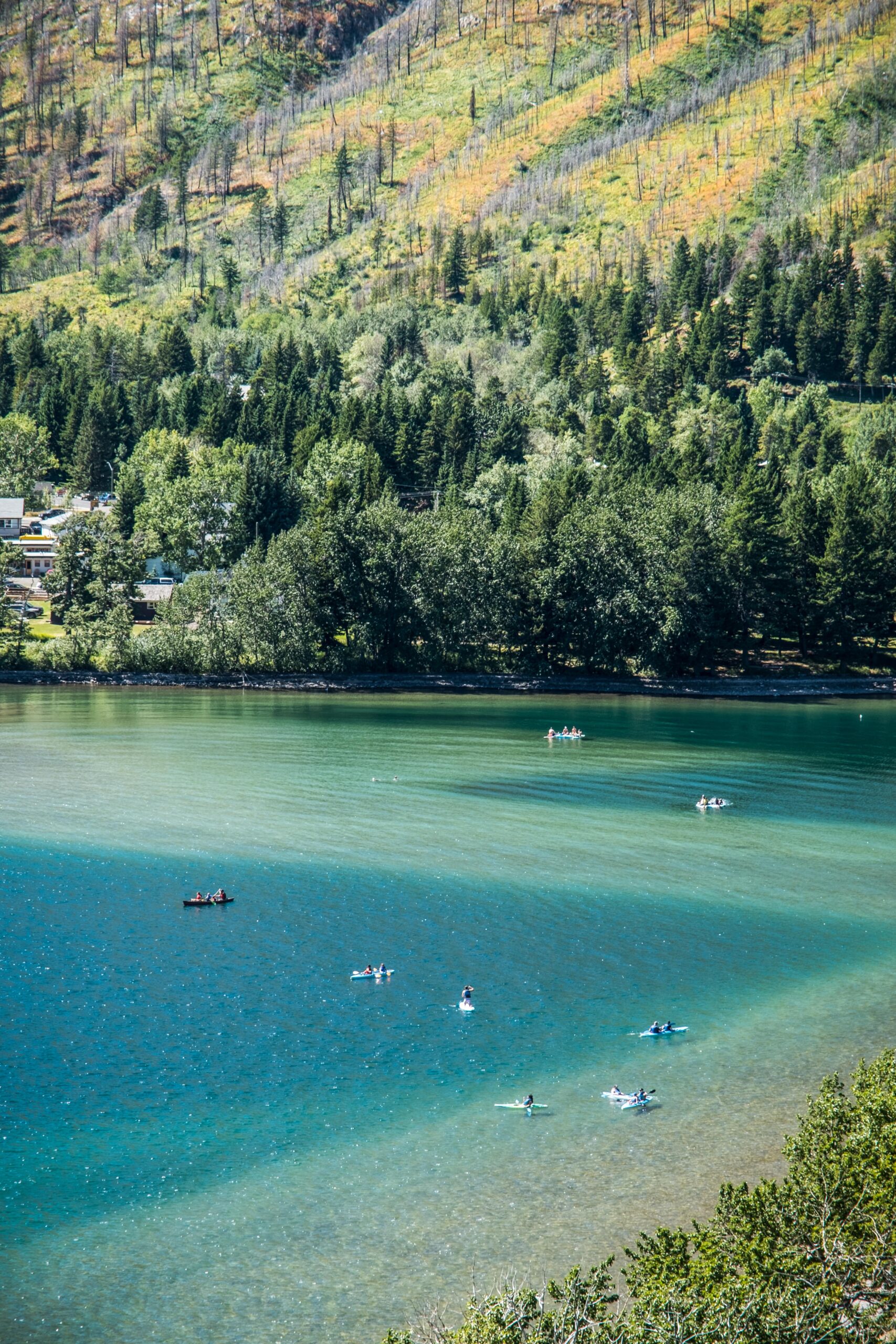 Paddlers On Waterton Lake - Things To Do In Waterton National Park