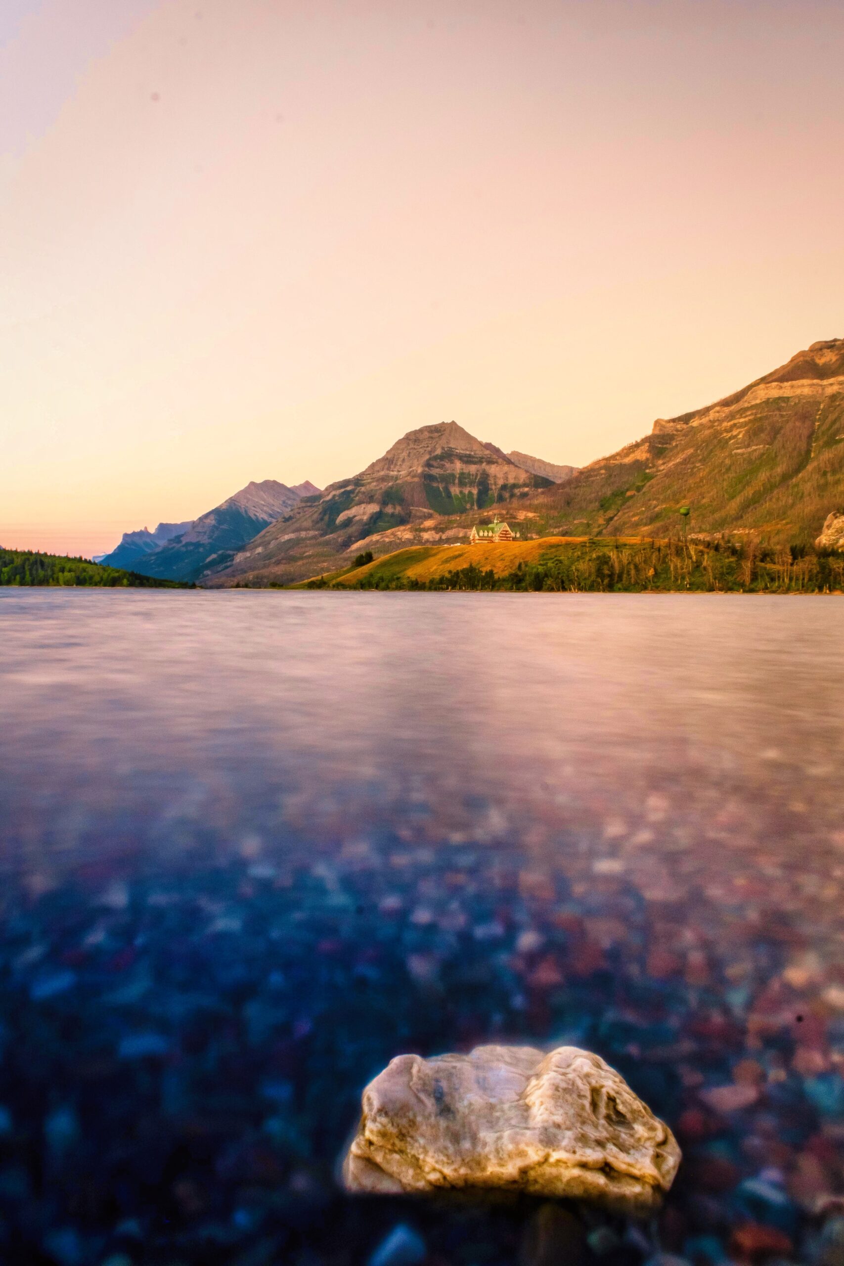 are dogs allowed in waterton national park