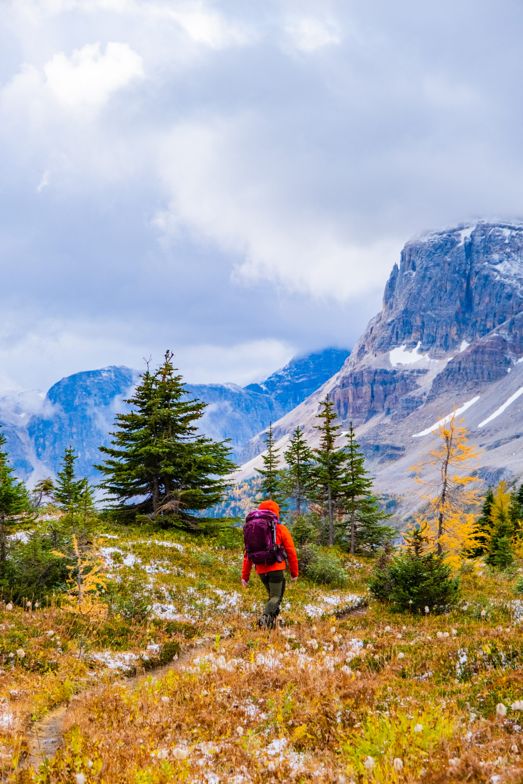 backcountry camping at Mount Assiniboine Provincial Park