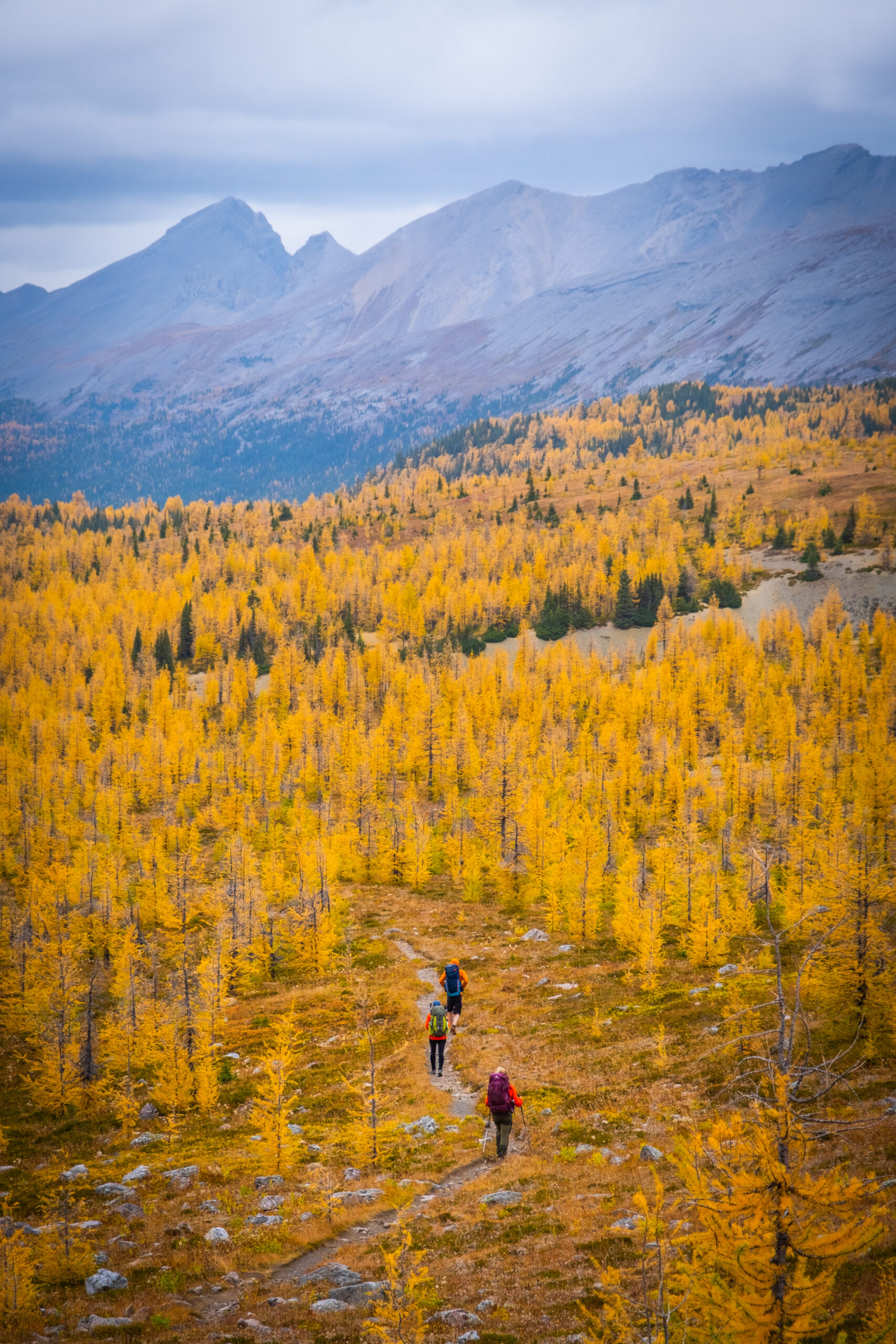 Banff in the Fall