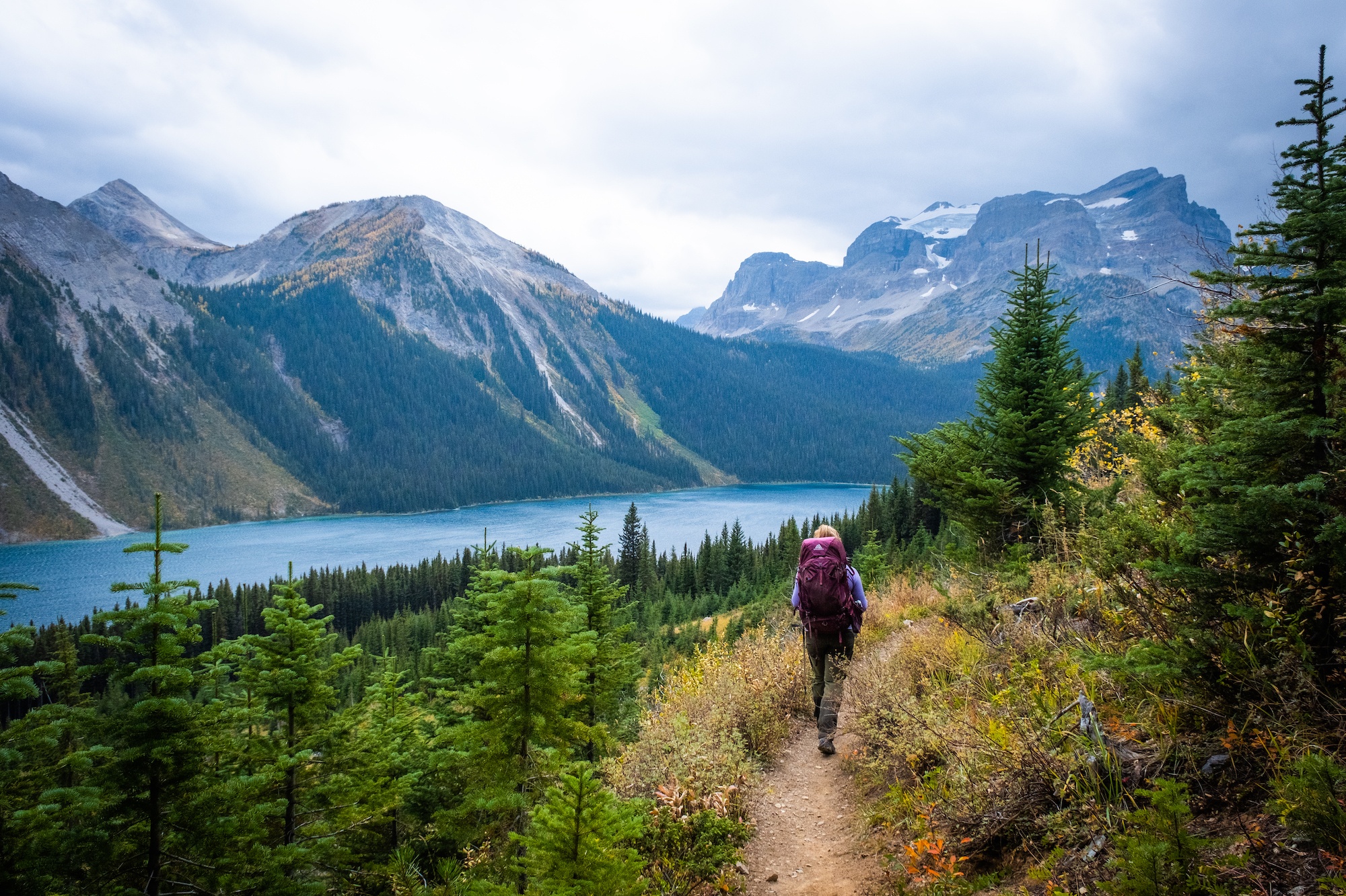 Trail Along Marvel Lake Enroute To Mount Assiniboine