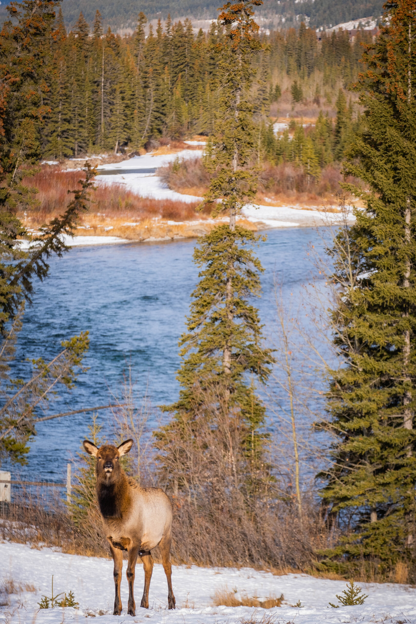 Banff in November