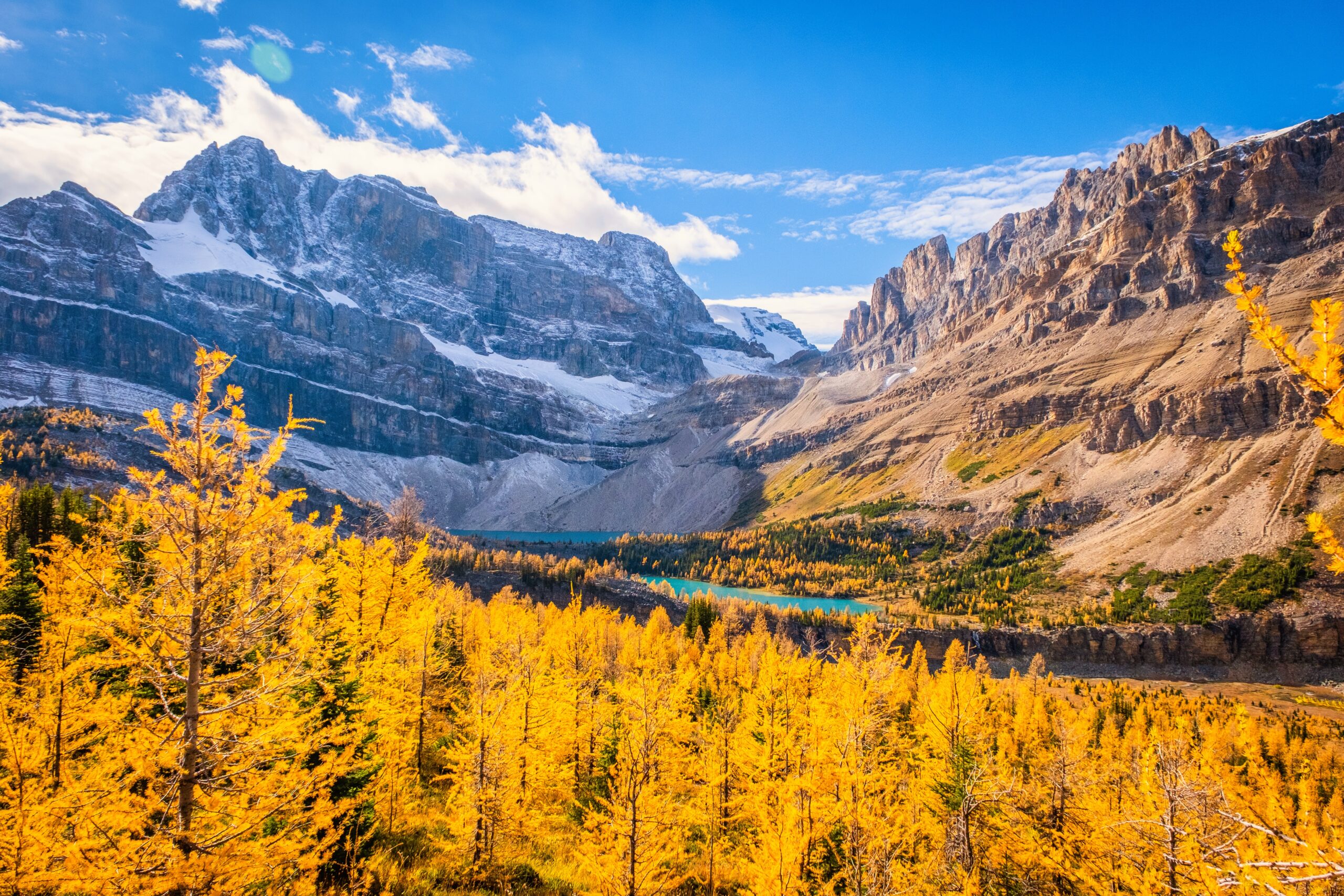 Banff in the Fall