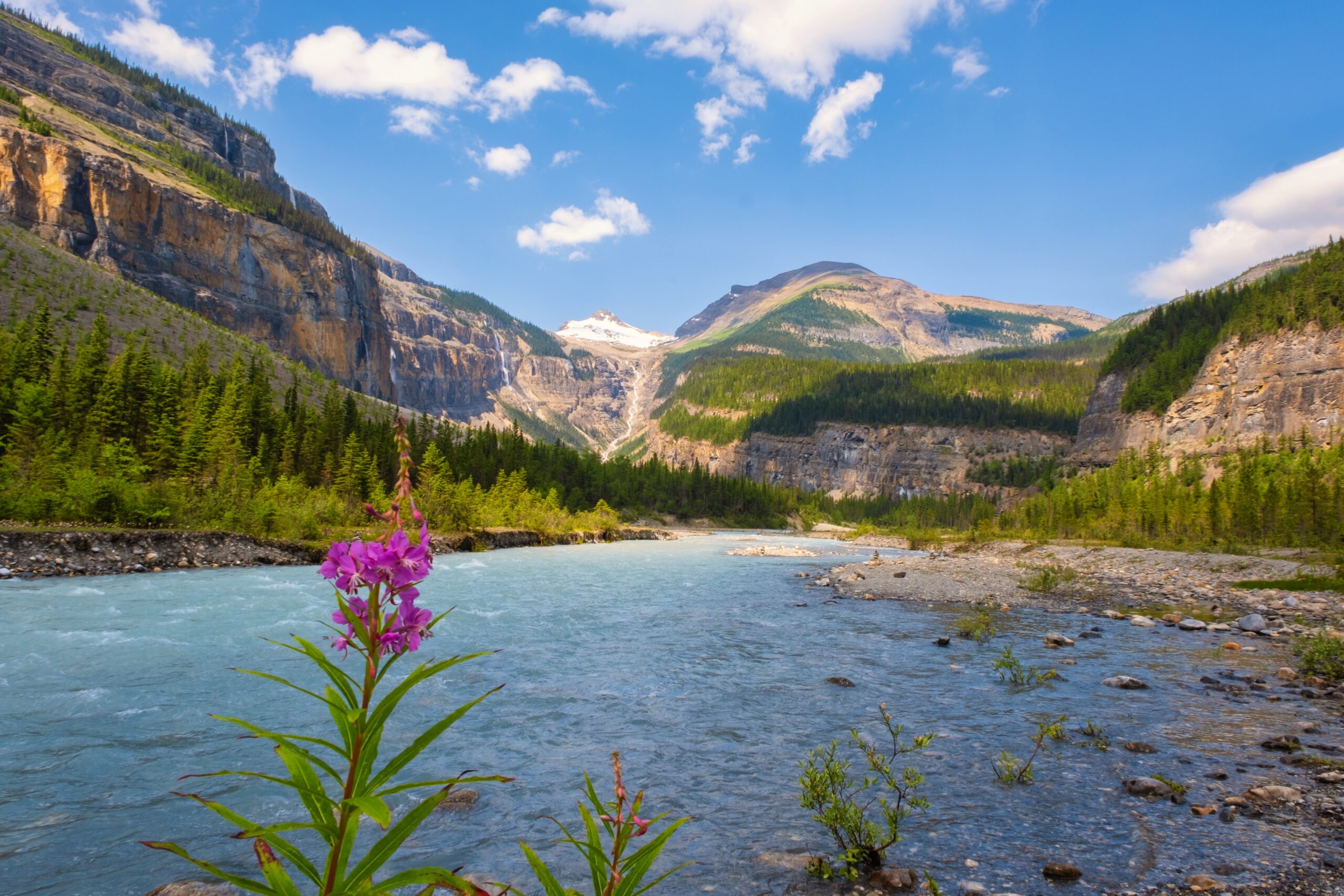 Berg Lake Trail