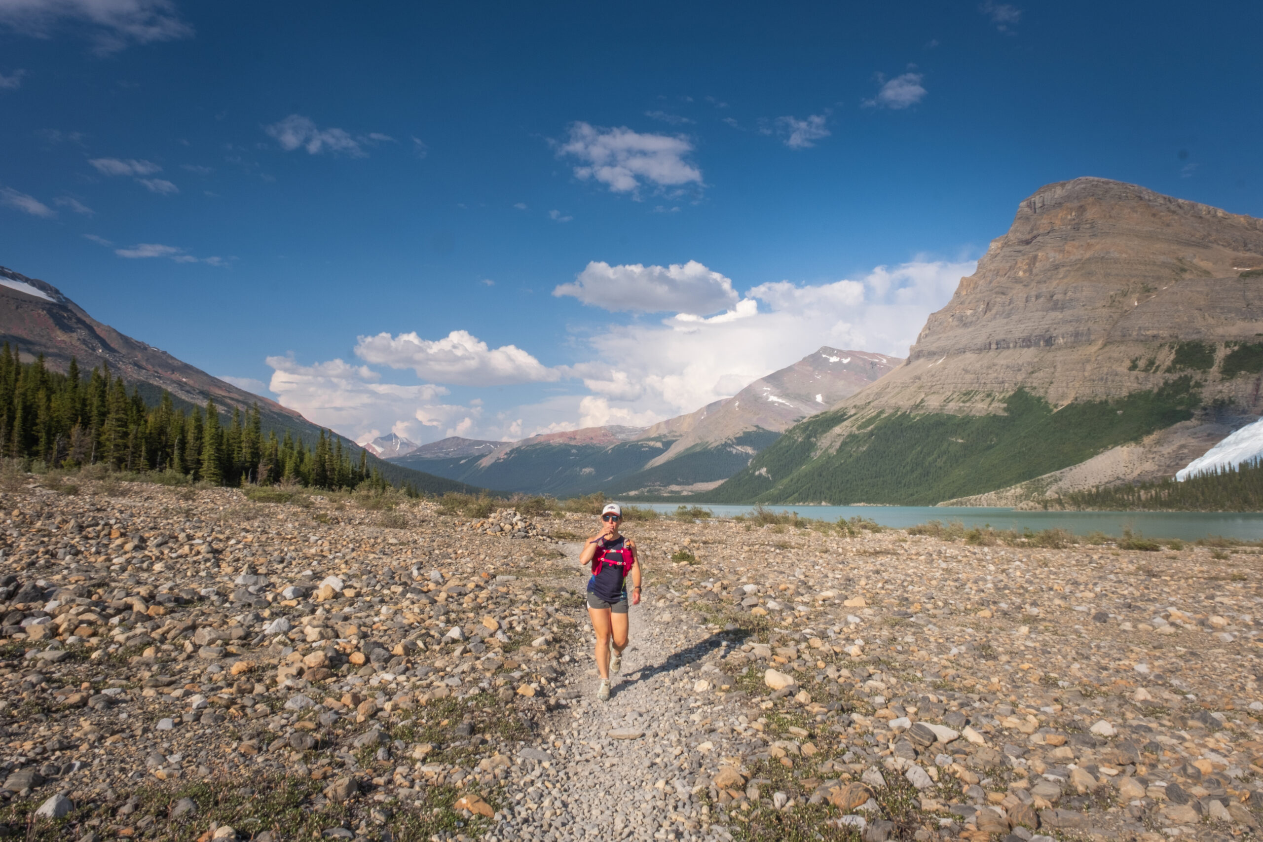 Berg Lake Trail