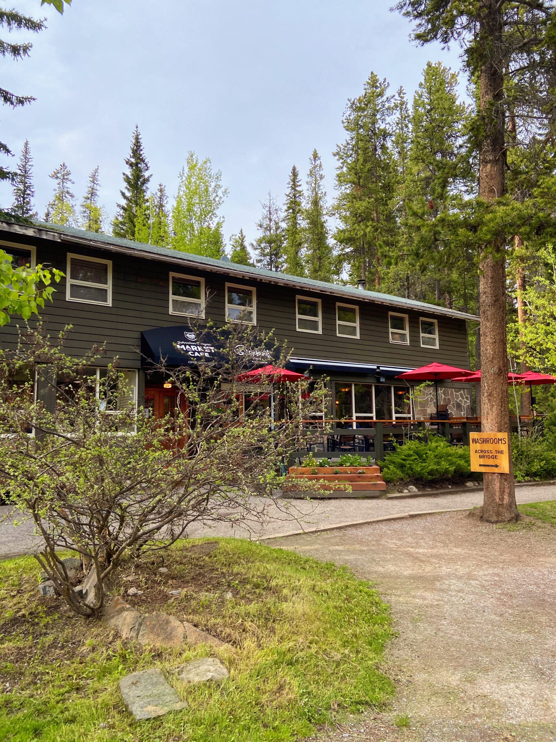 johnston canyon cafe