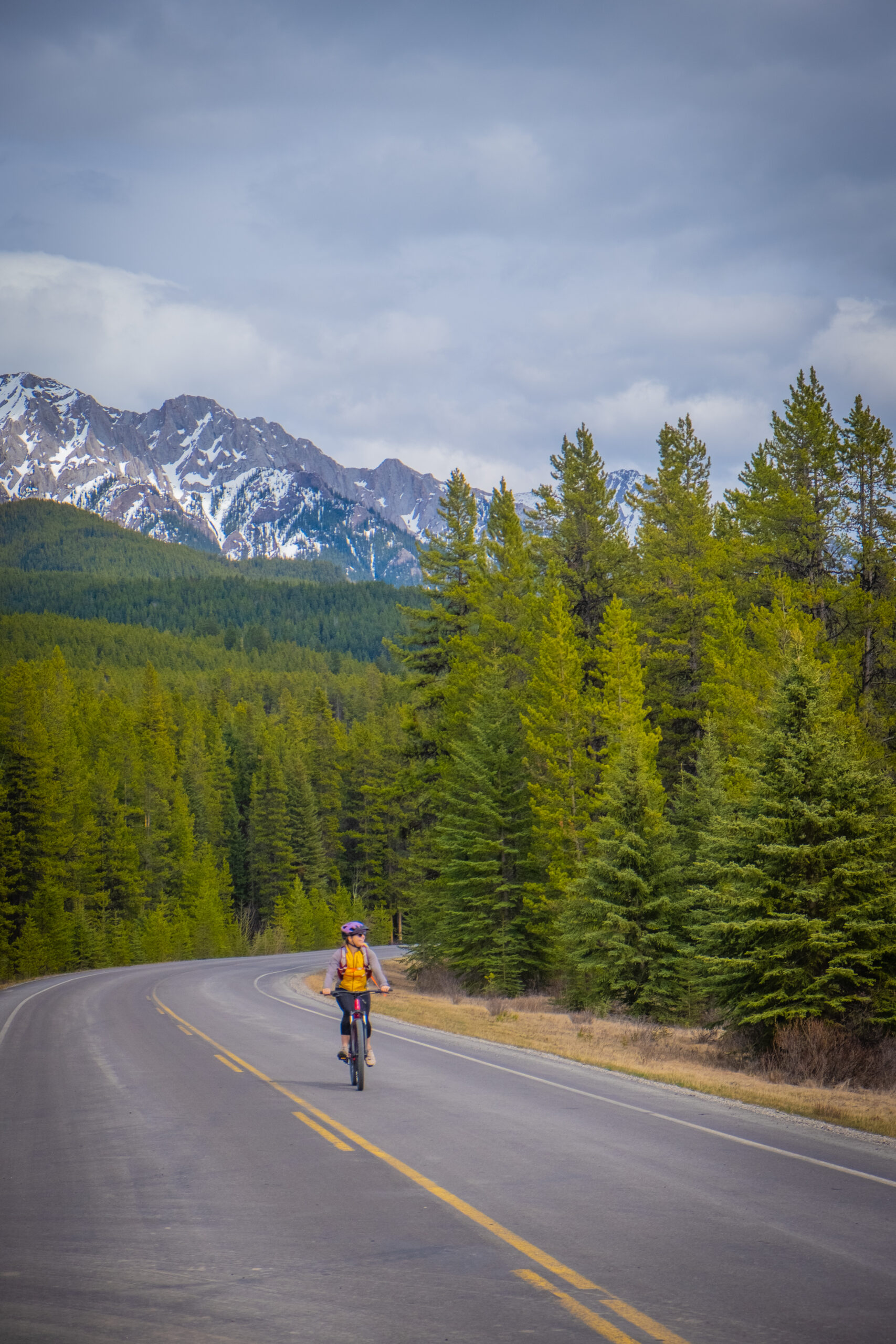 biking the bow valley parkway