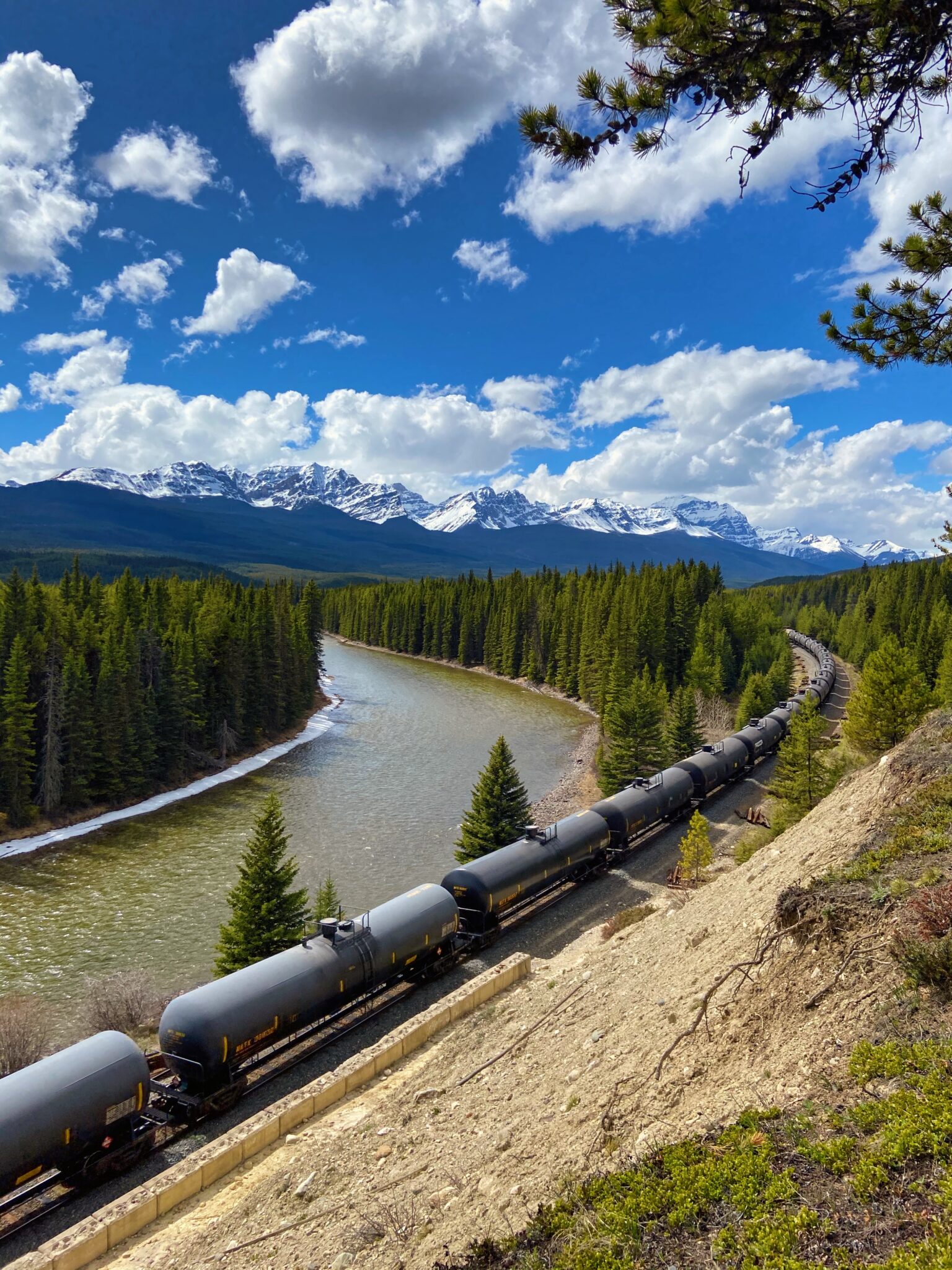 10 AMAZING Bow Valley Parkway Stops