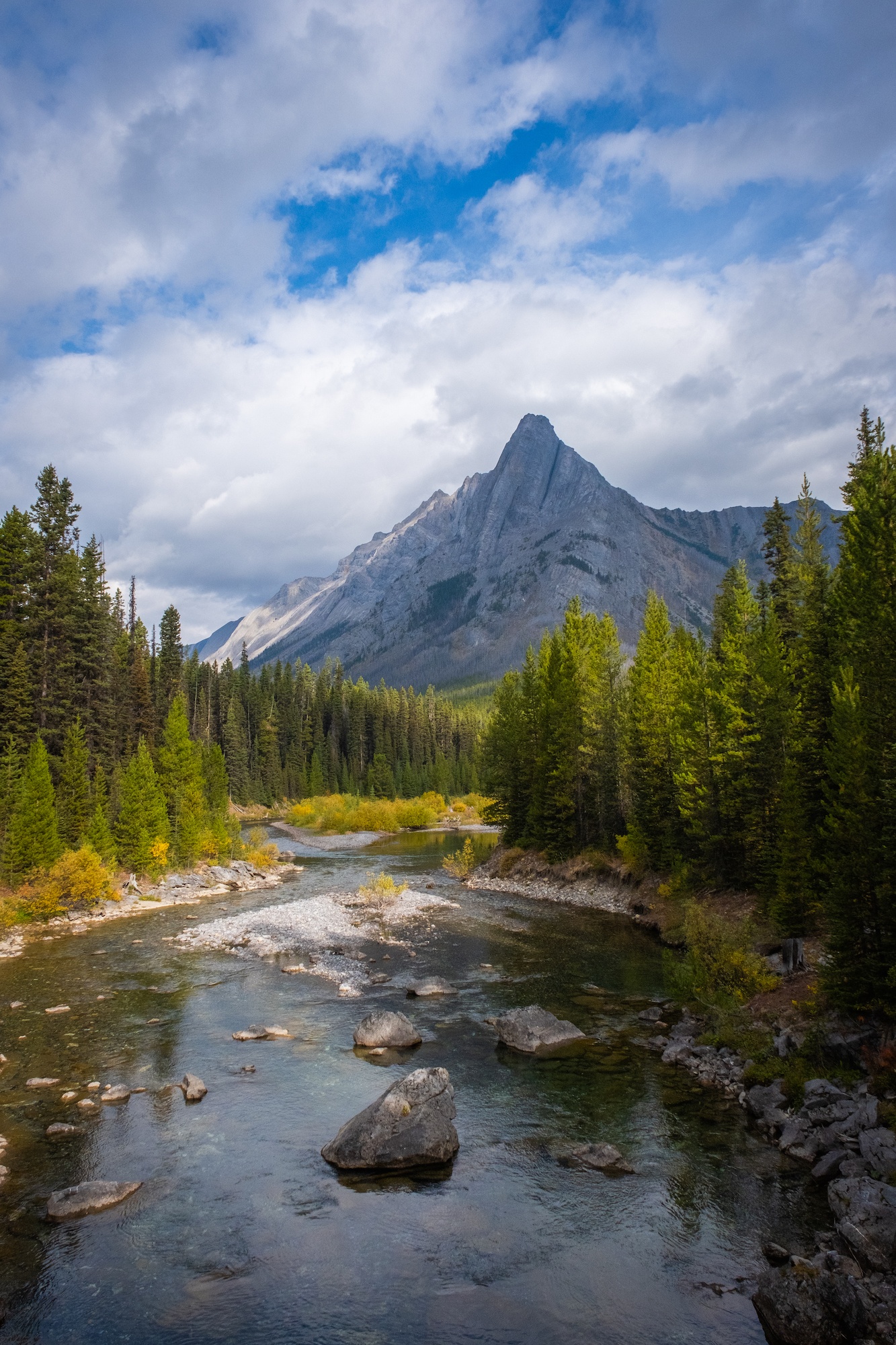 Assiniboine 