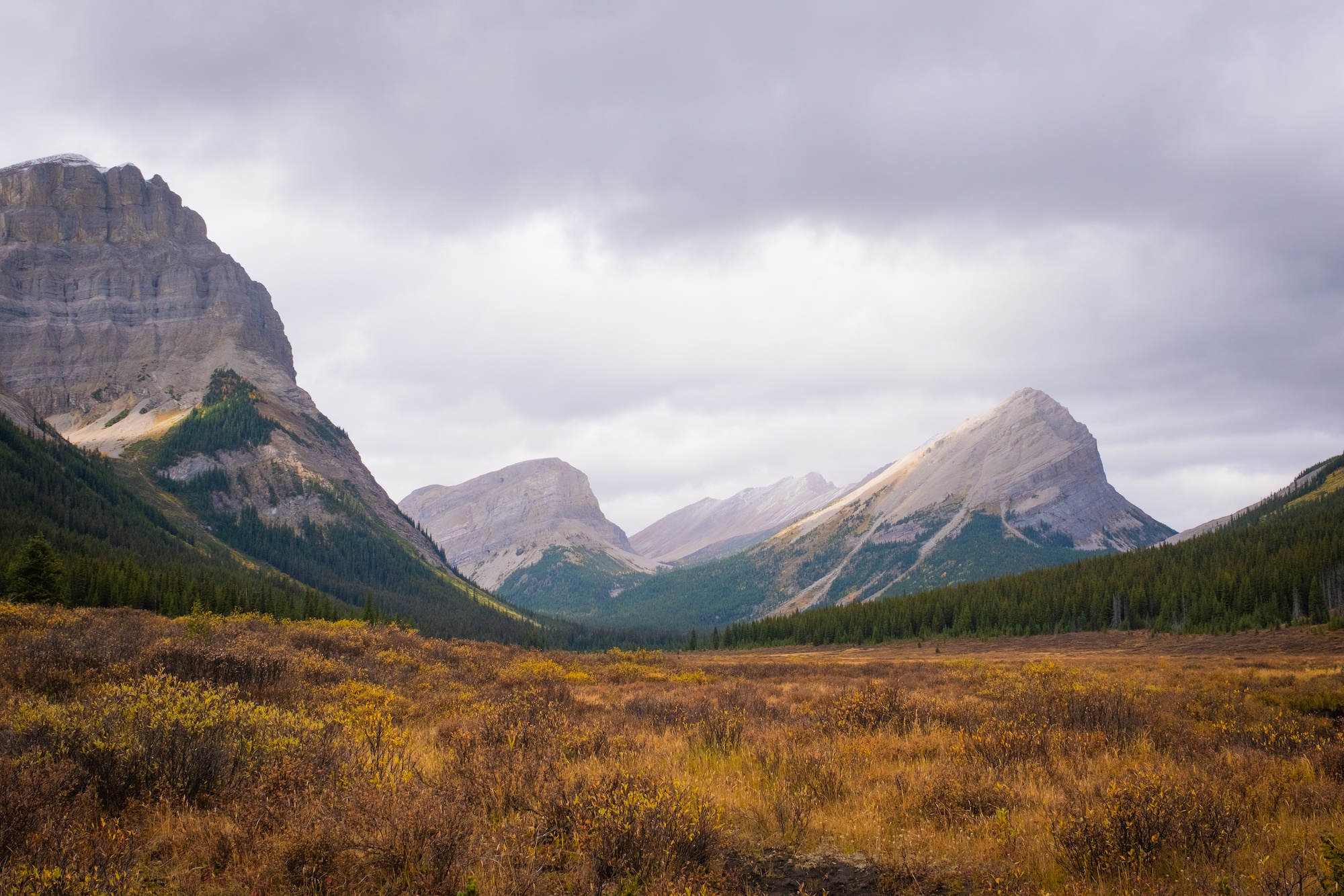 Mt. Shark Trail To Mount Assiniboine