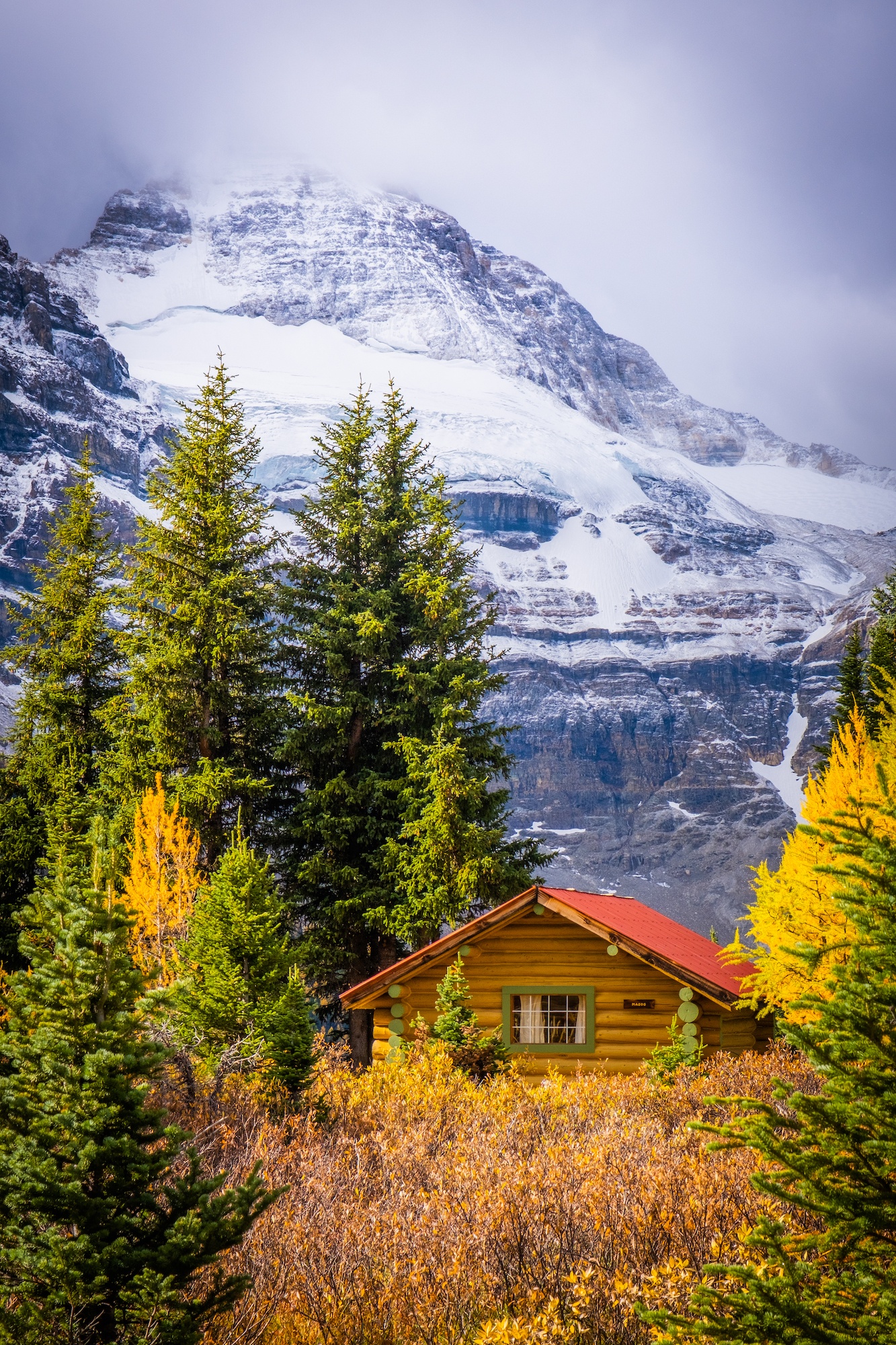 cabin in front of mount assiniboine 