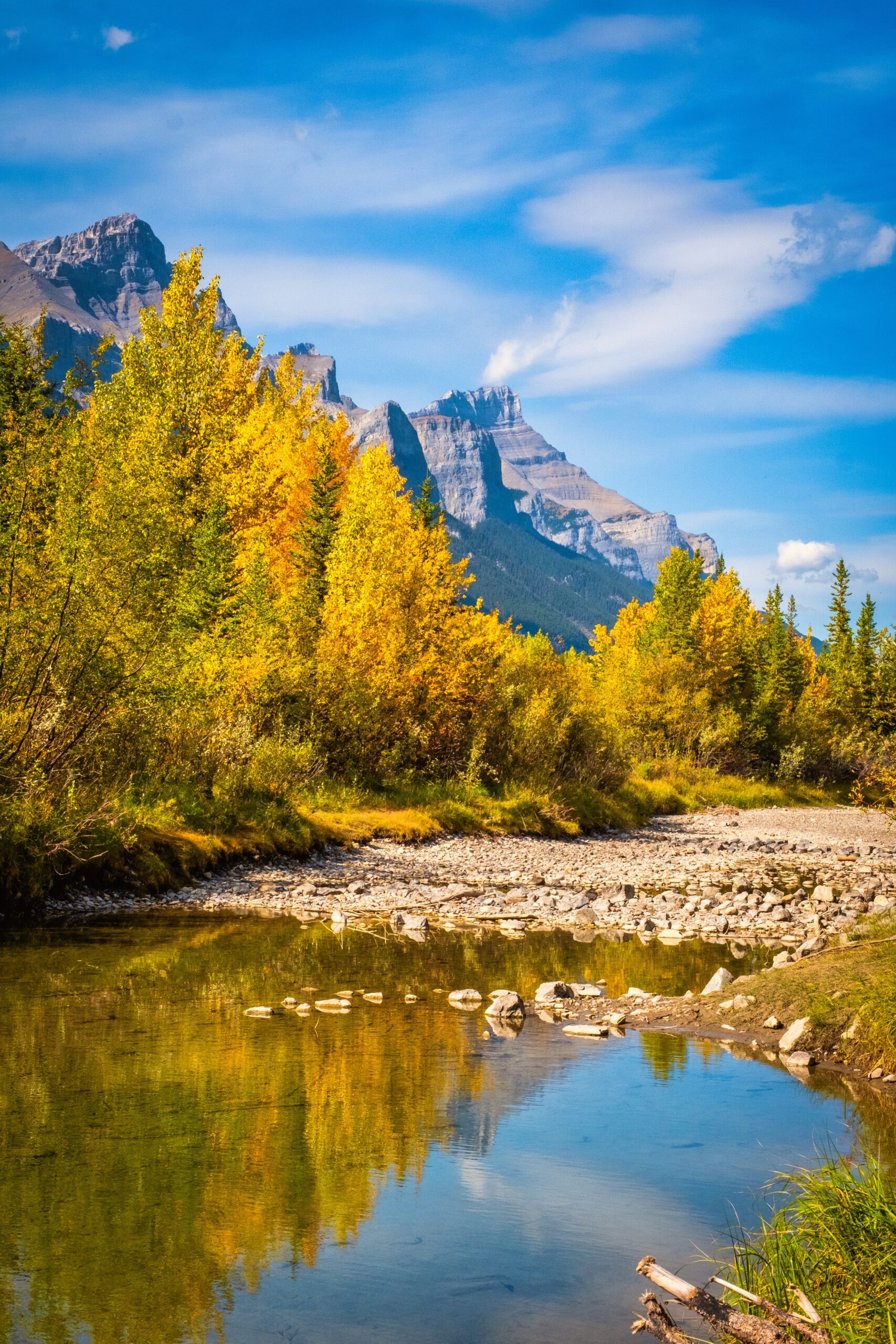 Larch Islands In Canmore With Fall Colors