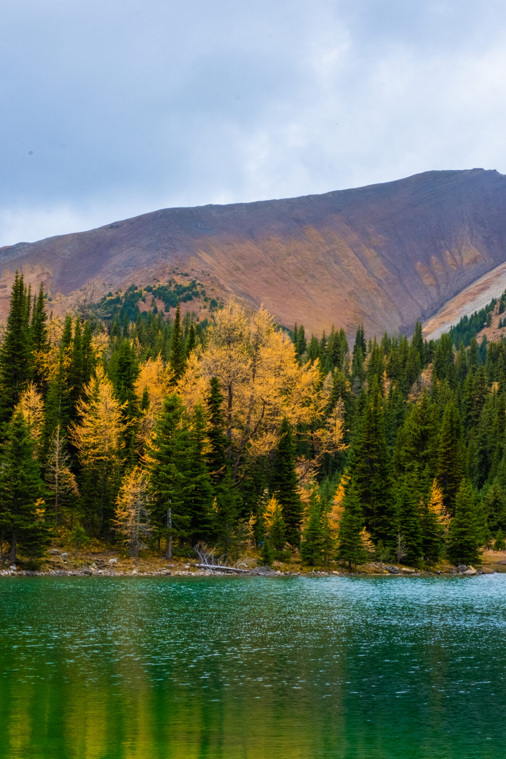 chester lake in kananaskis in the fall