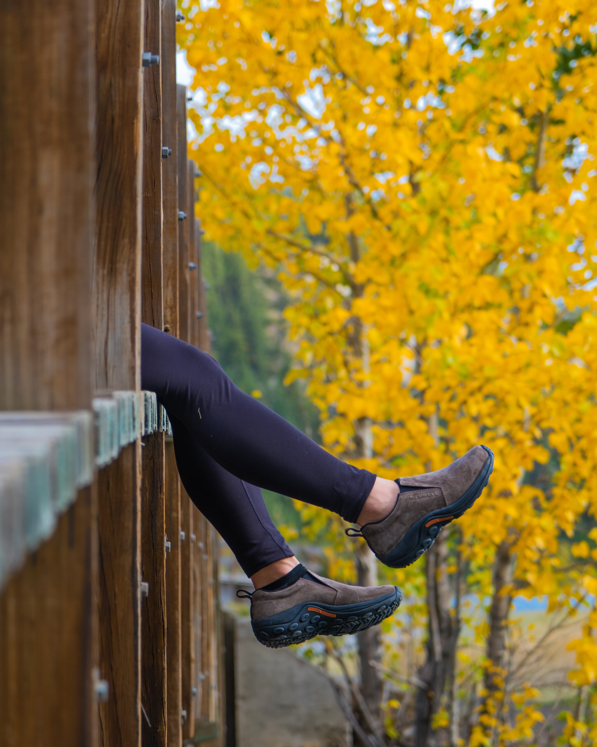 Herbst in Banff