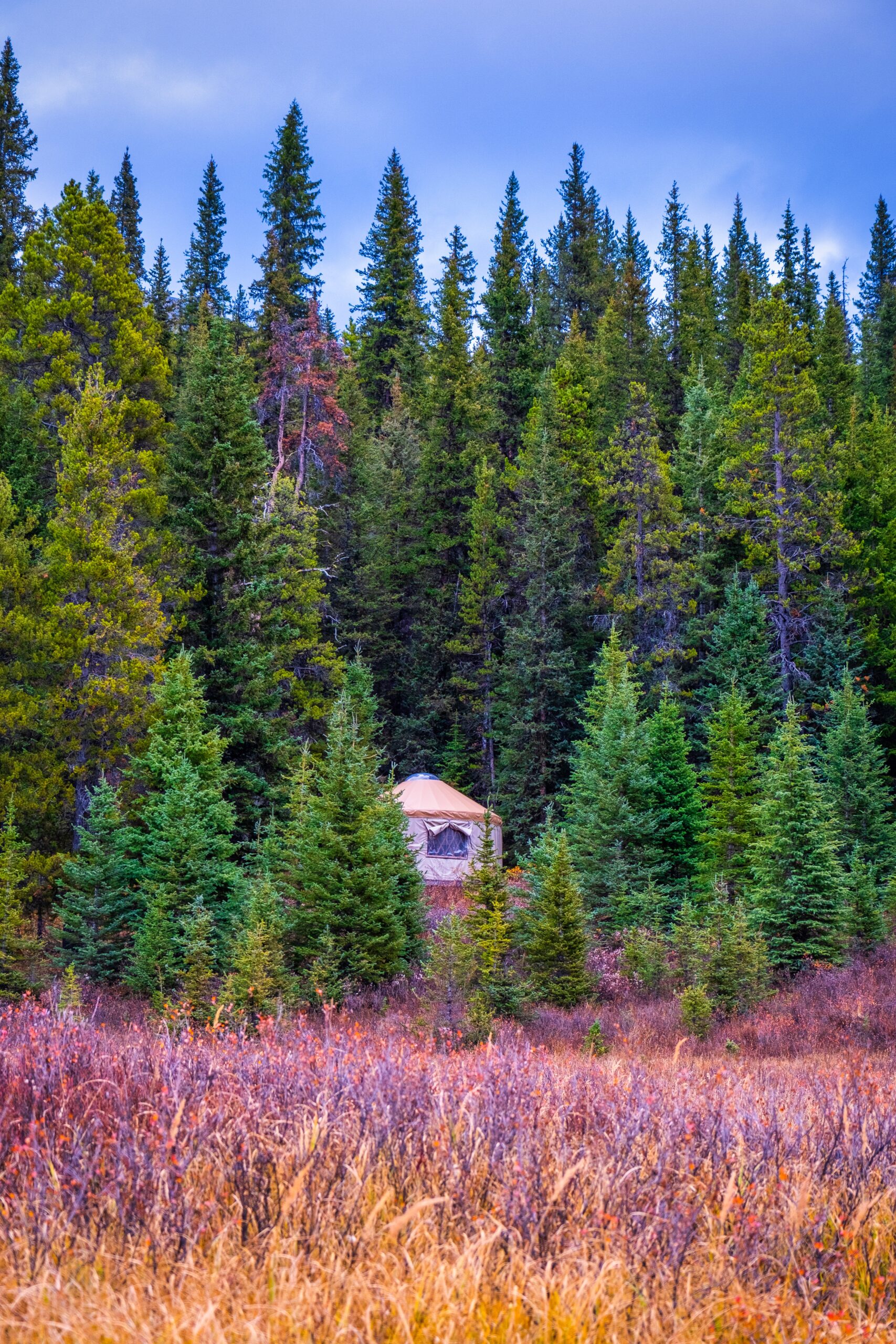 Yurt at Mount Engadine
