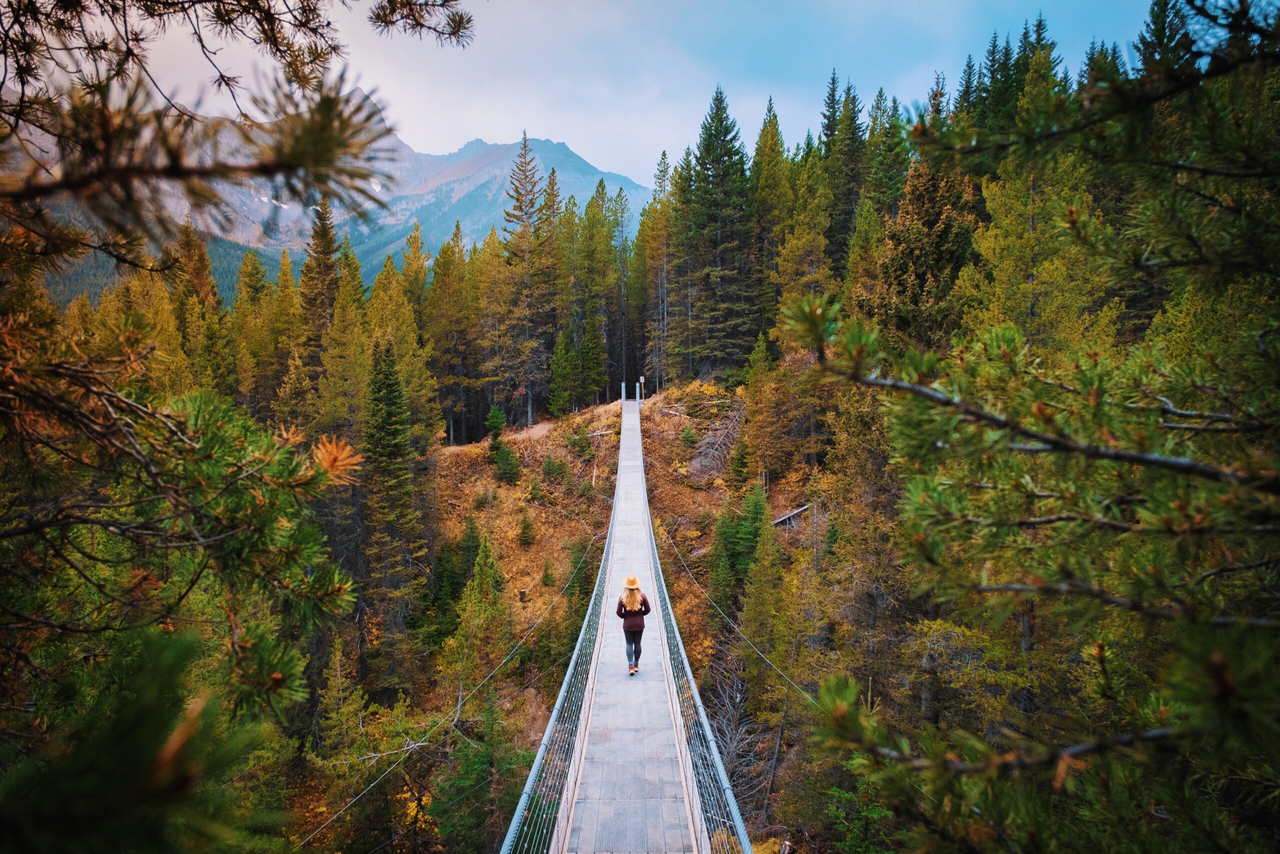 Blackshale Suspension Bridge near Mount Engadine Lodge