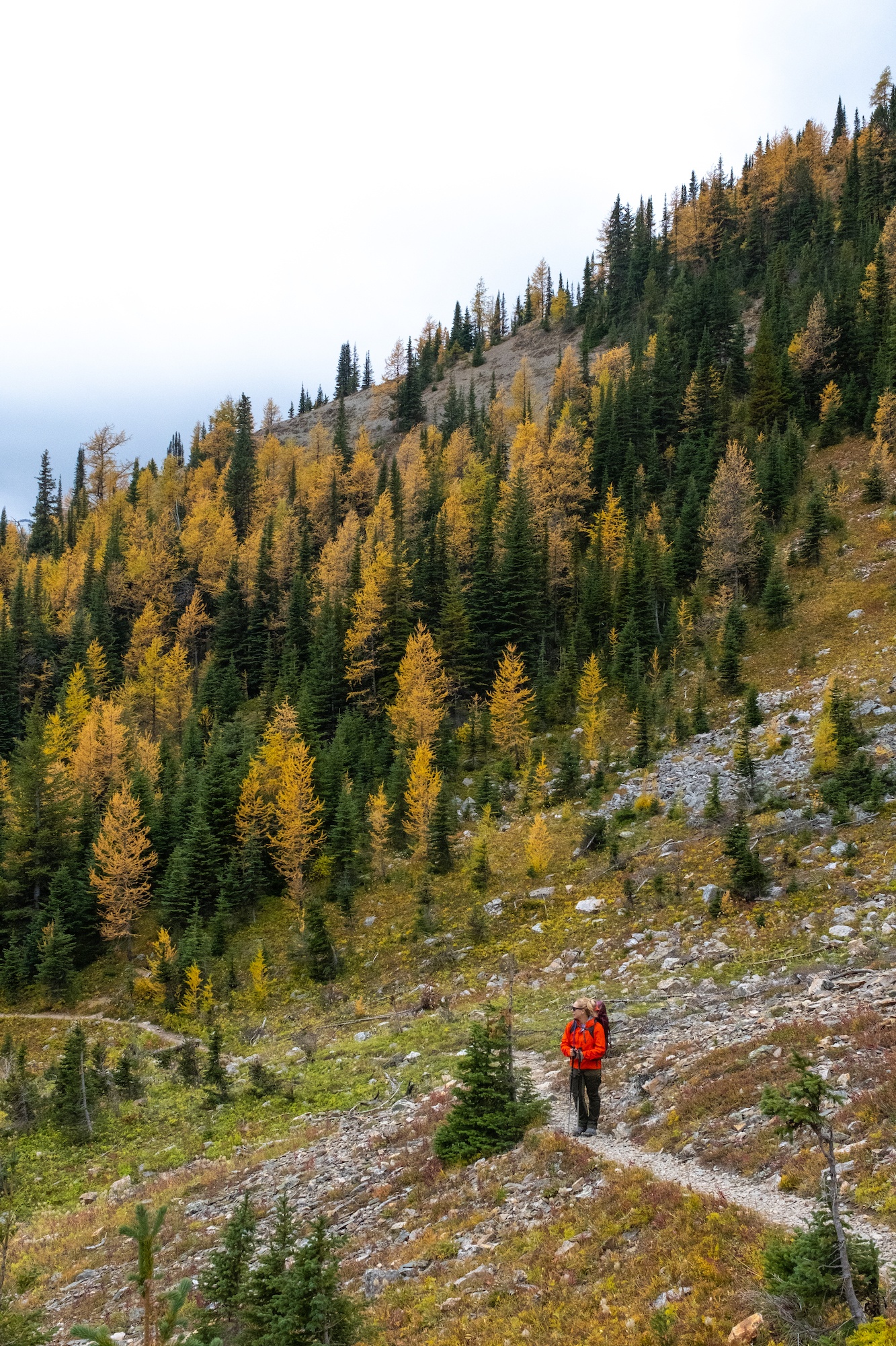 Hiking the Mt Shark Trail