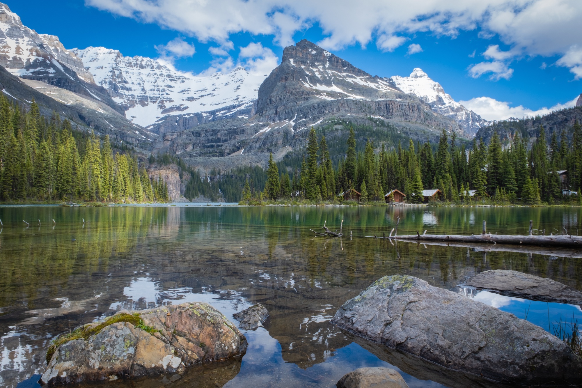 Lake O'Hara Landscape