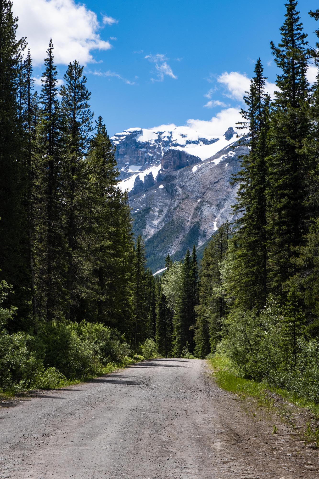 Lake O'Hara Road