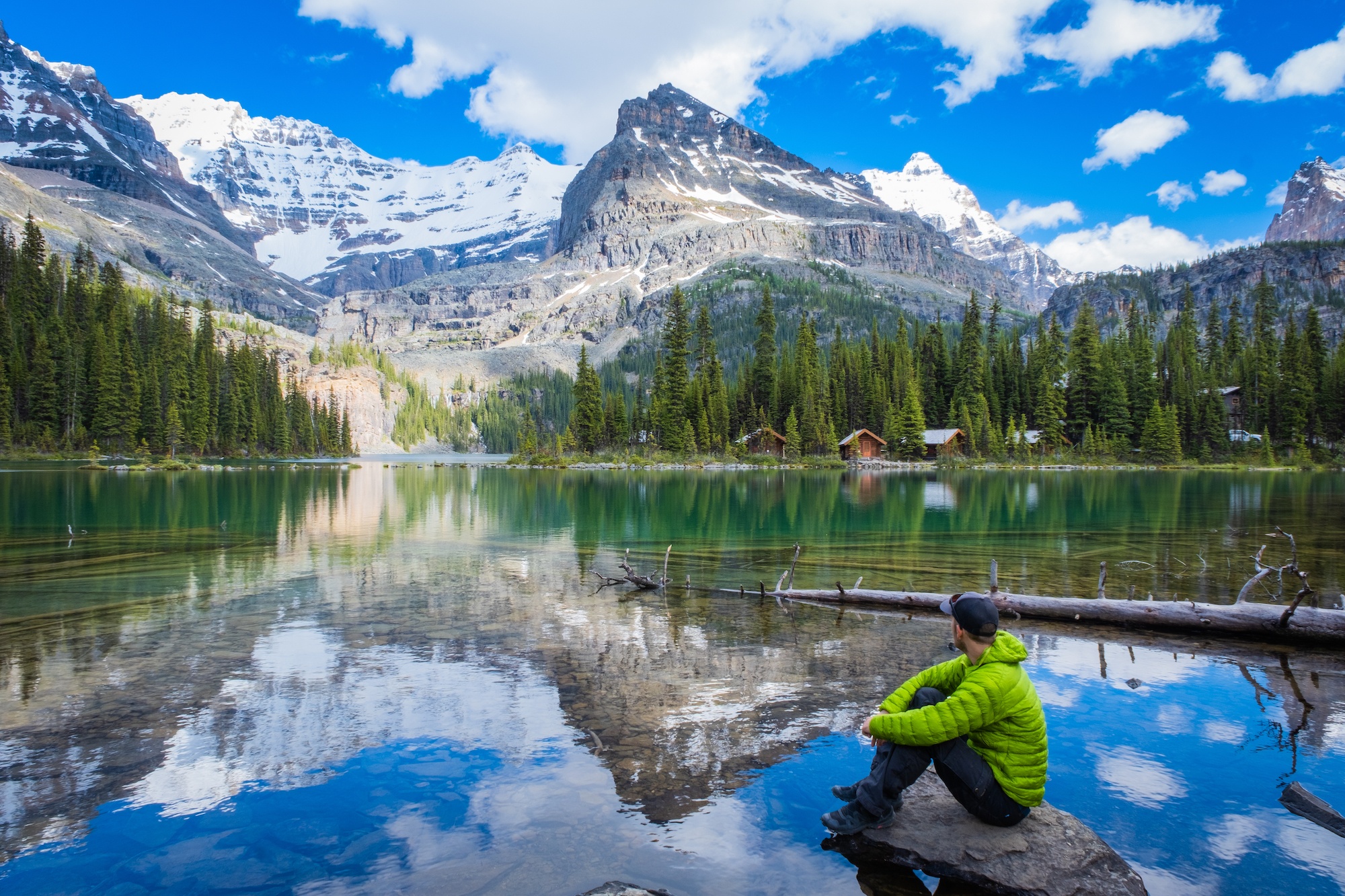 Lake O'Hara Shoreline