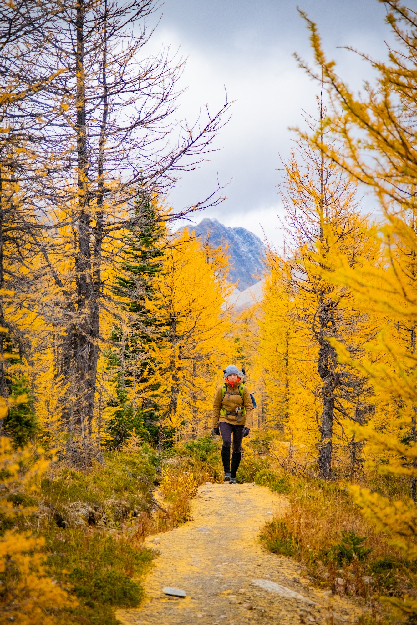 Set Realistic Goals in Mount Assiniboine