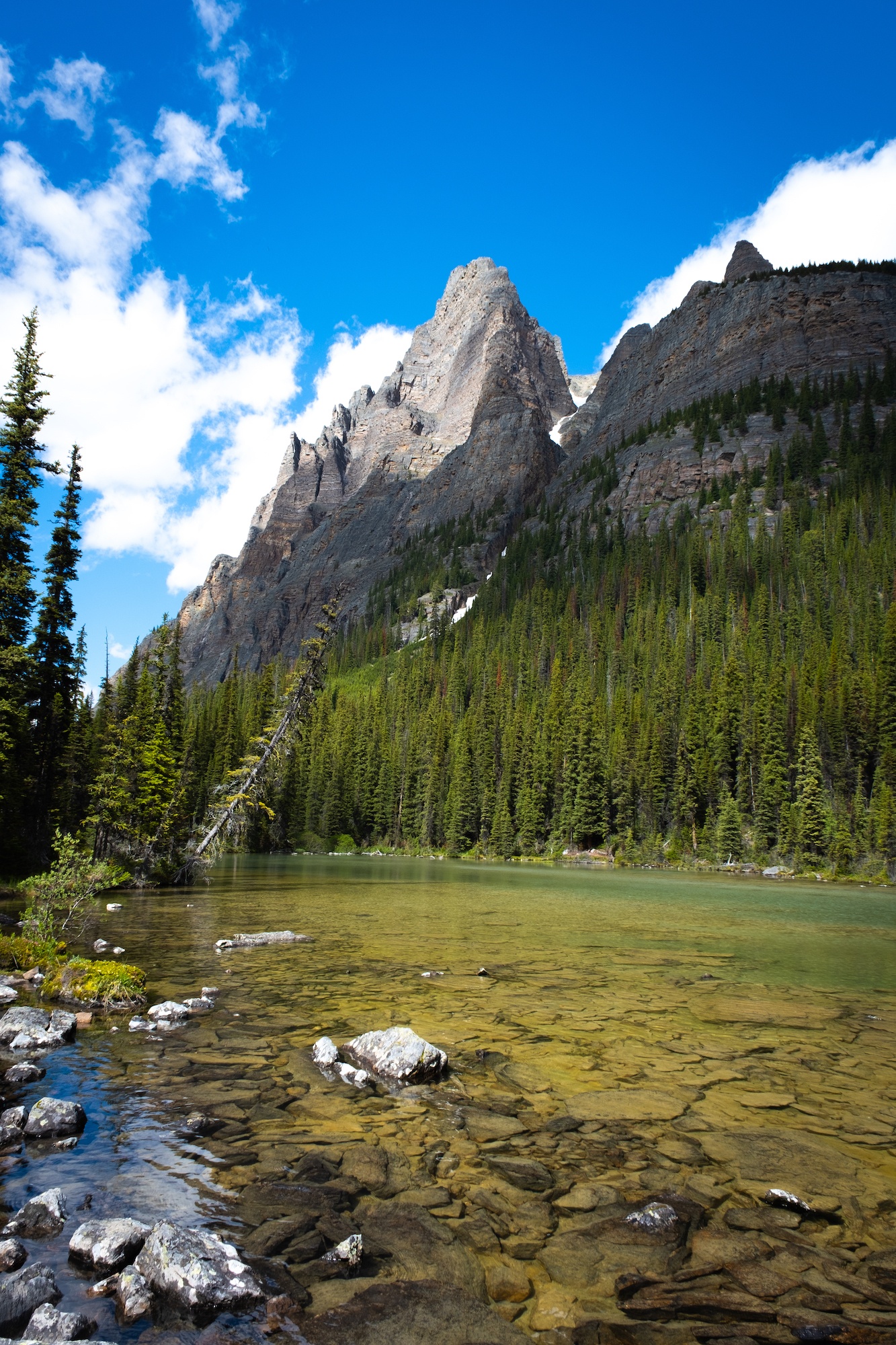 Lake O'Hara 