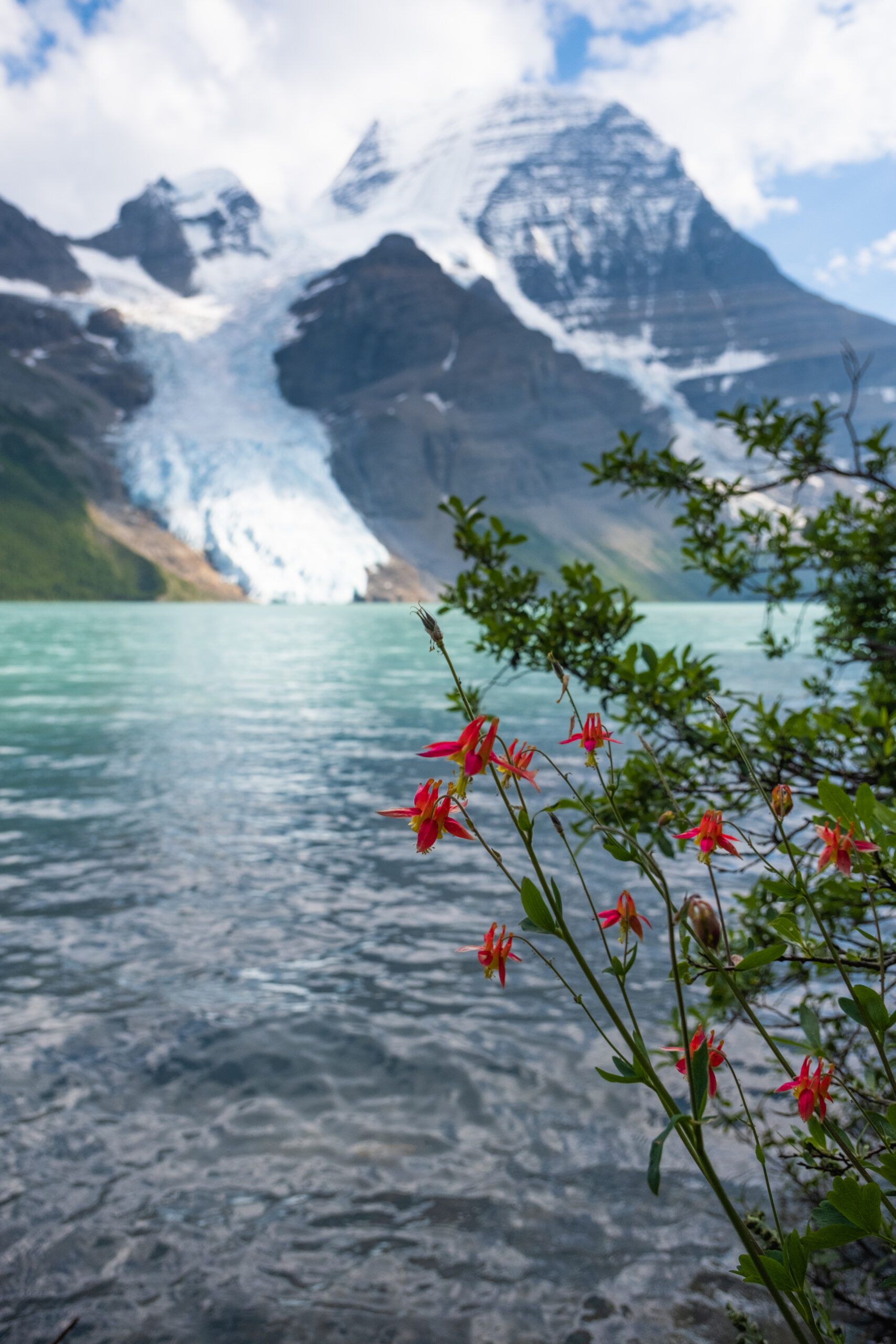 Berg Lake Trail