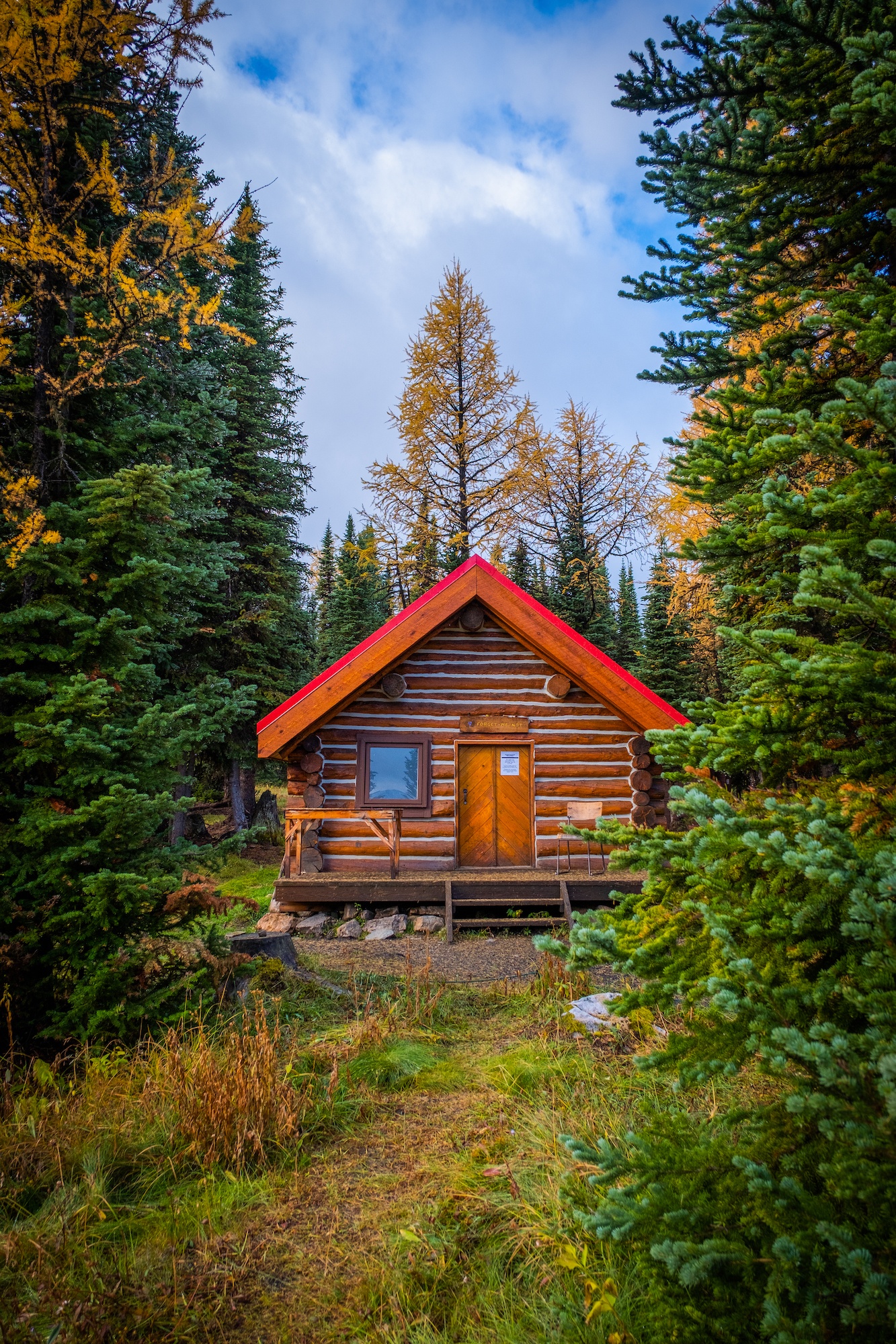 Assiniboine Naiset Hut Forget Me Not