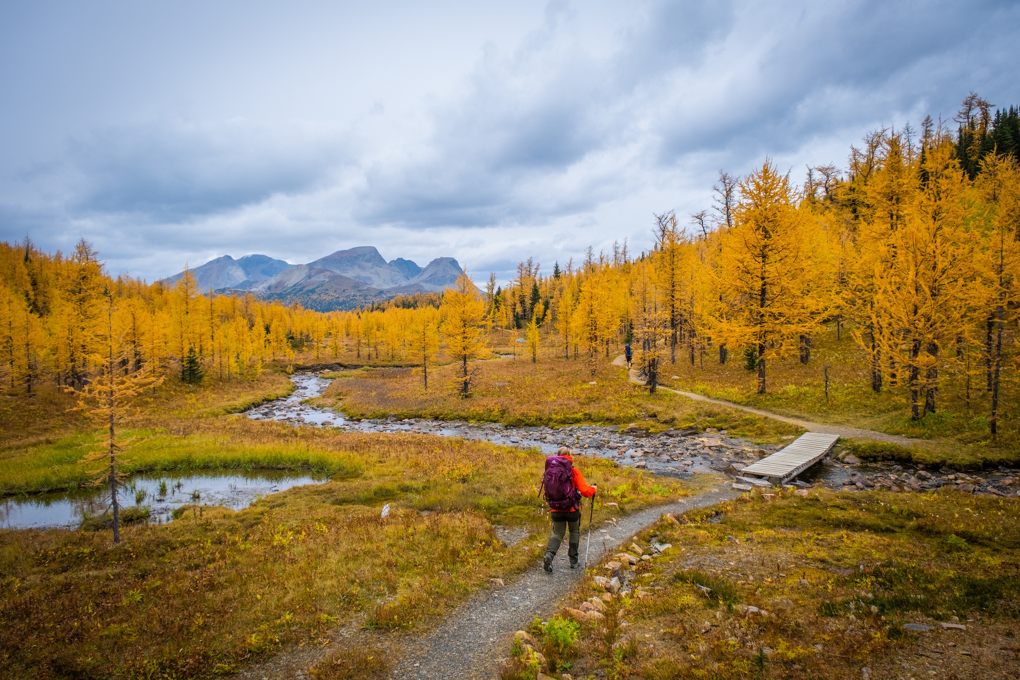 Mount Assiniboine Hike