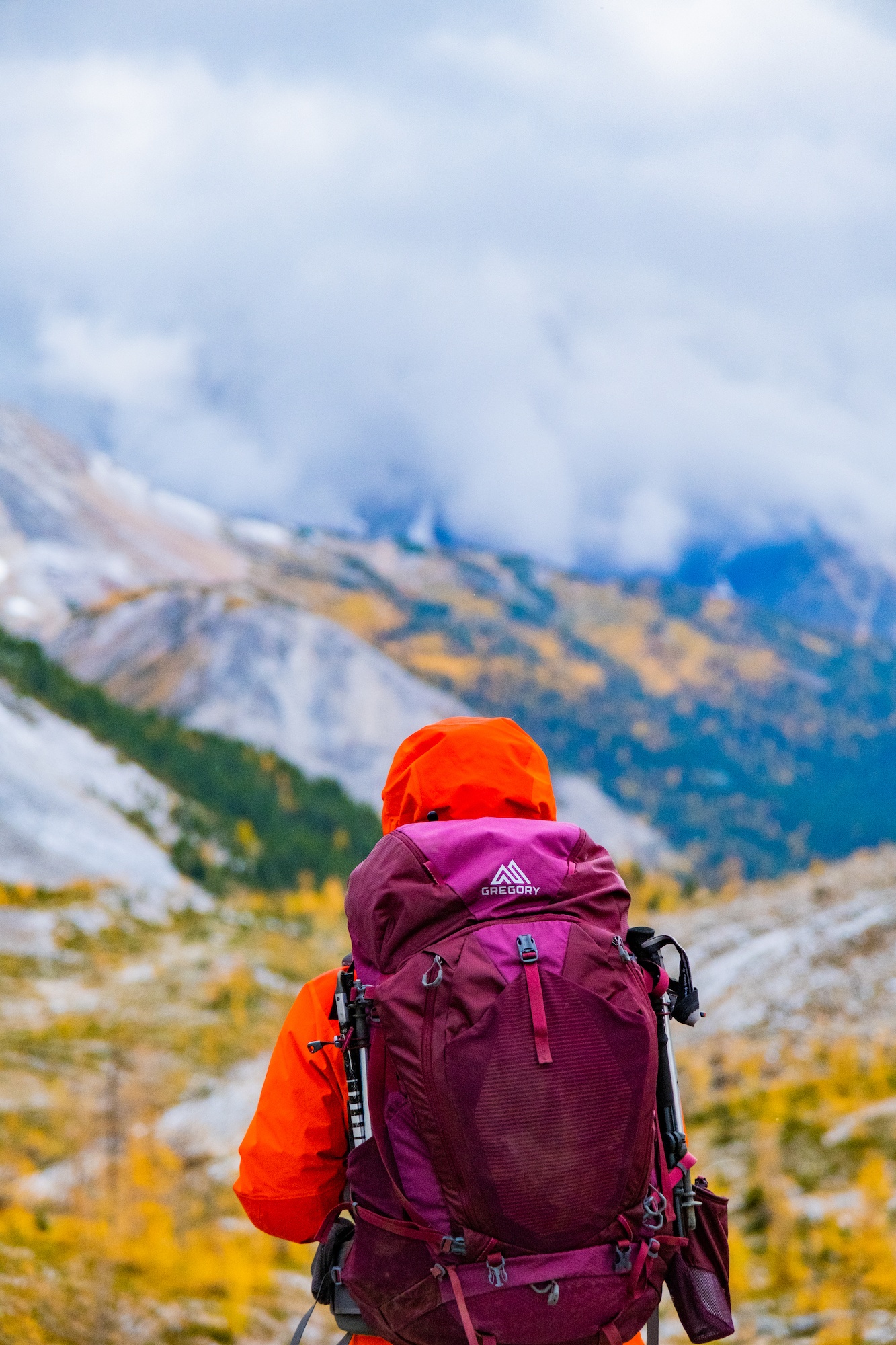 Assiniboine Natasha Backpack