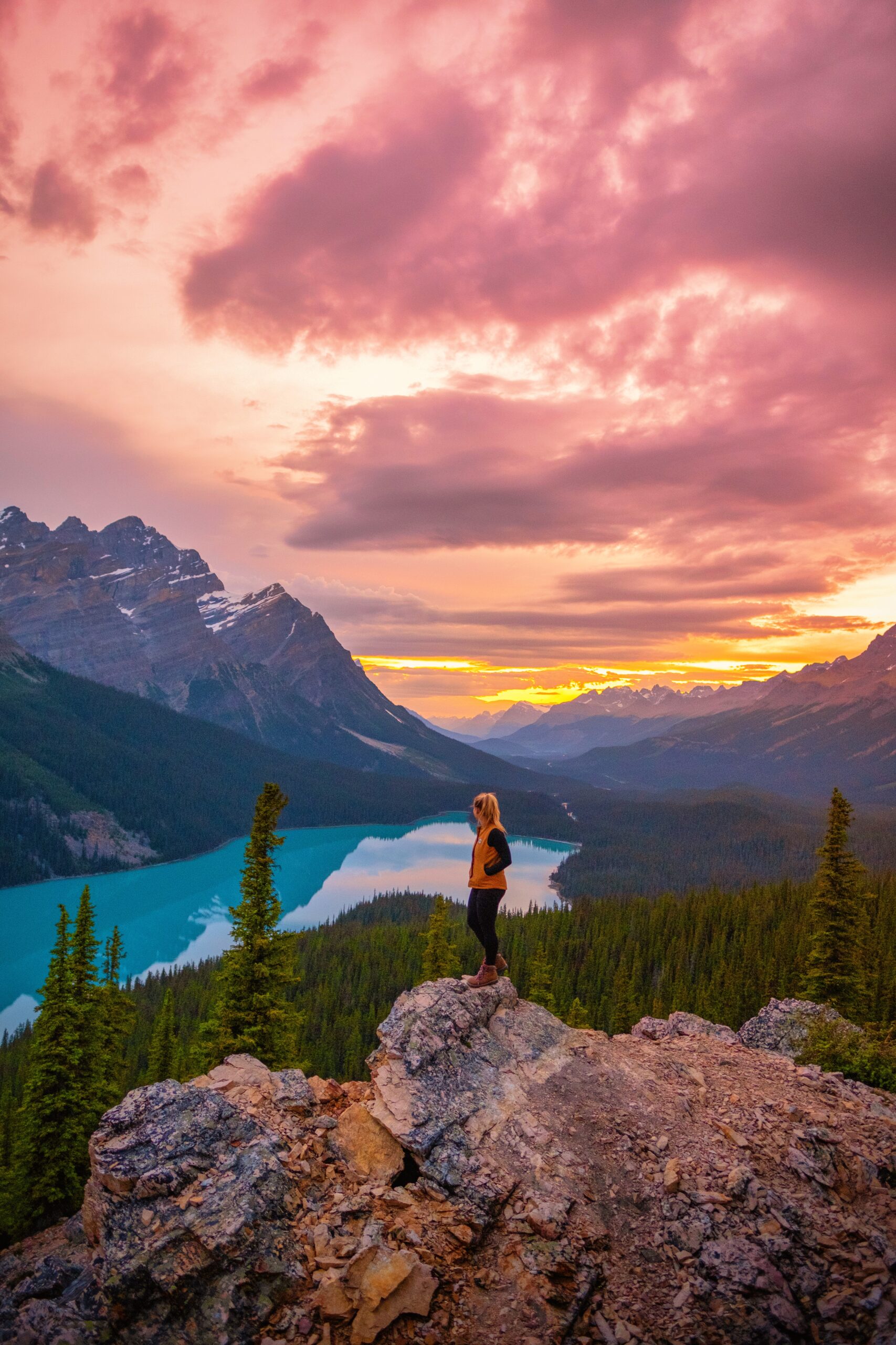 peyto lake