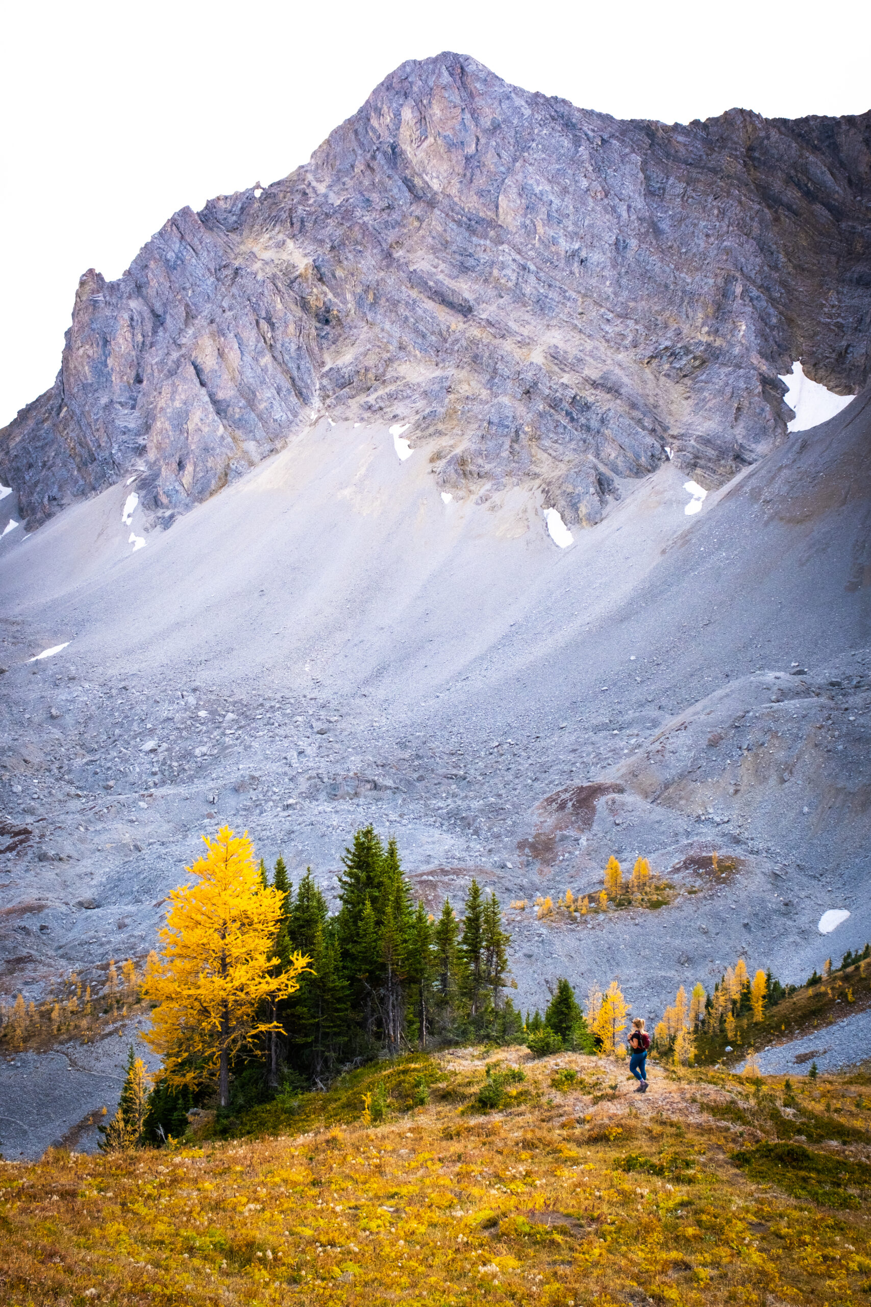 Hike Pocaterra Ridge