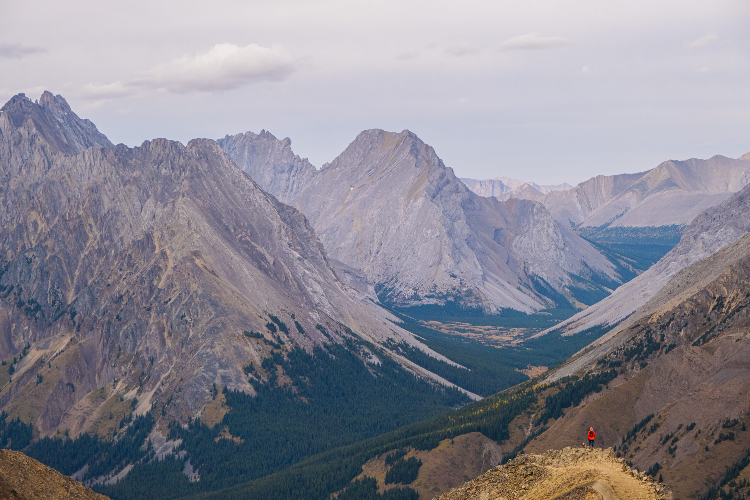 Hike Pocaterra Ridge