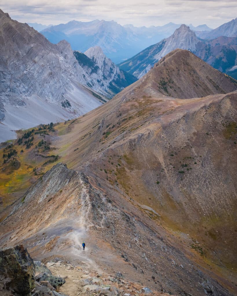 Pocaterra Ridge Hike in Kananaskis - All You NEED to Know