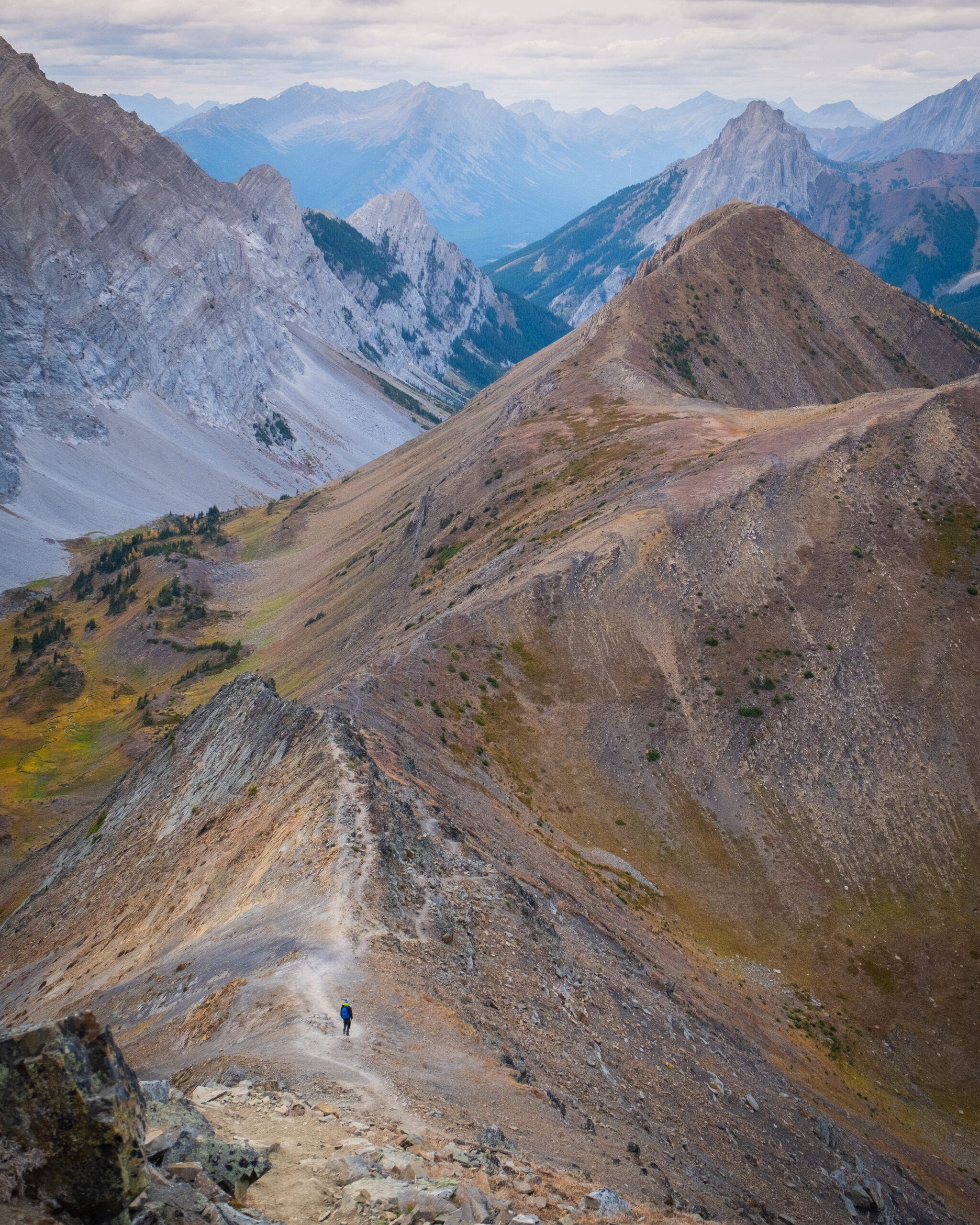 Hike Pocaterra Ridge