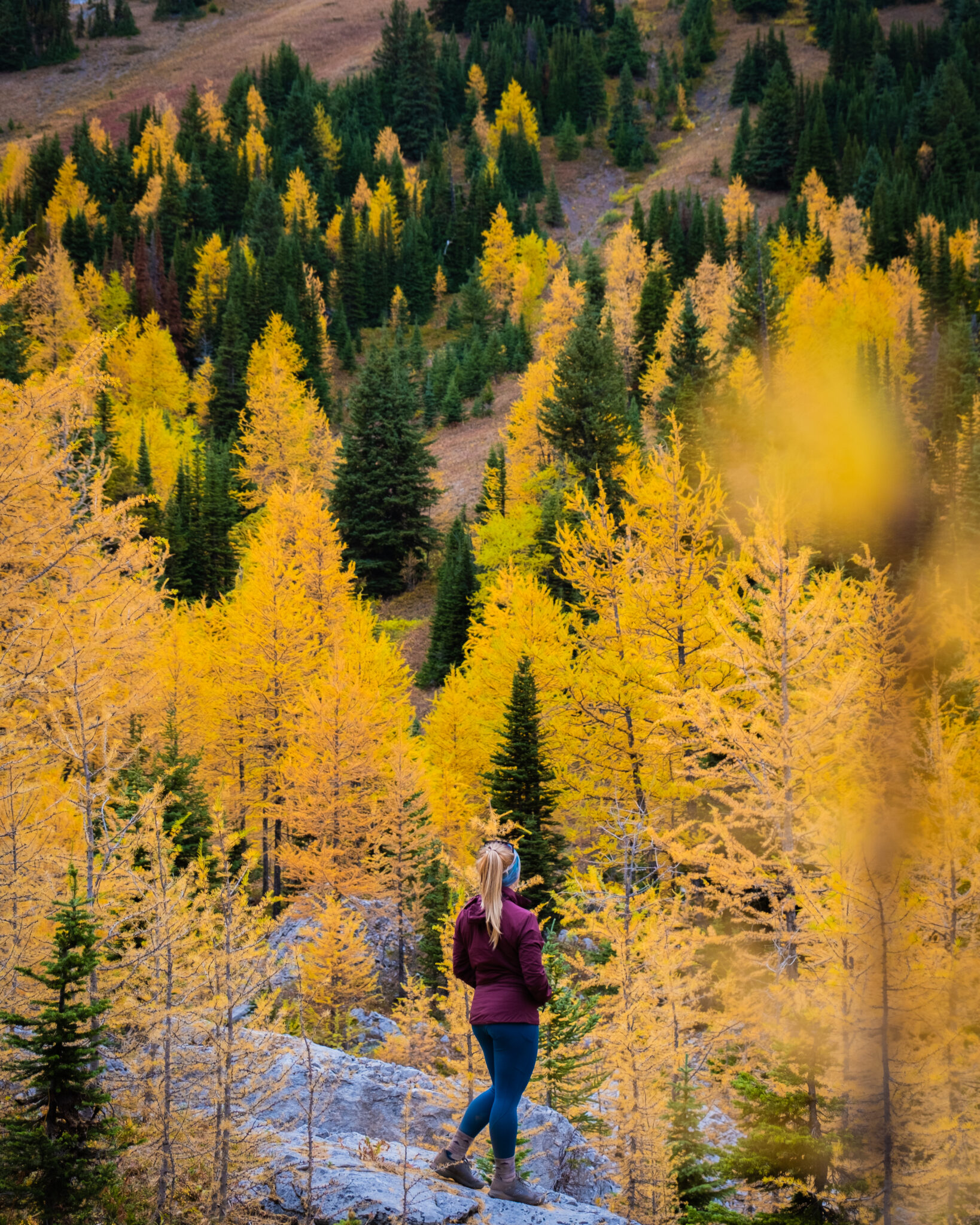 Pocaterra Ridge Hike in Kananaskis - All You NEED to Know