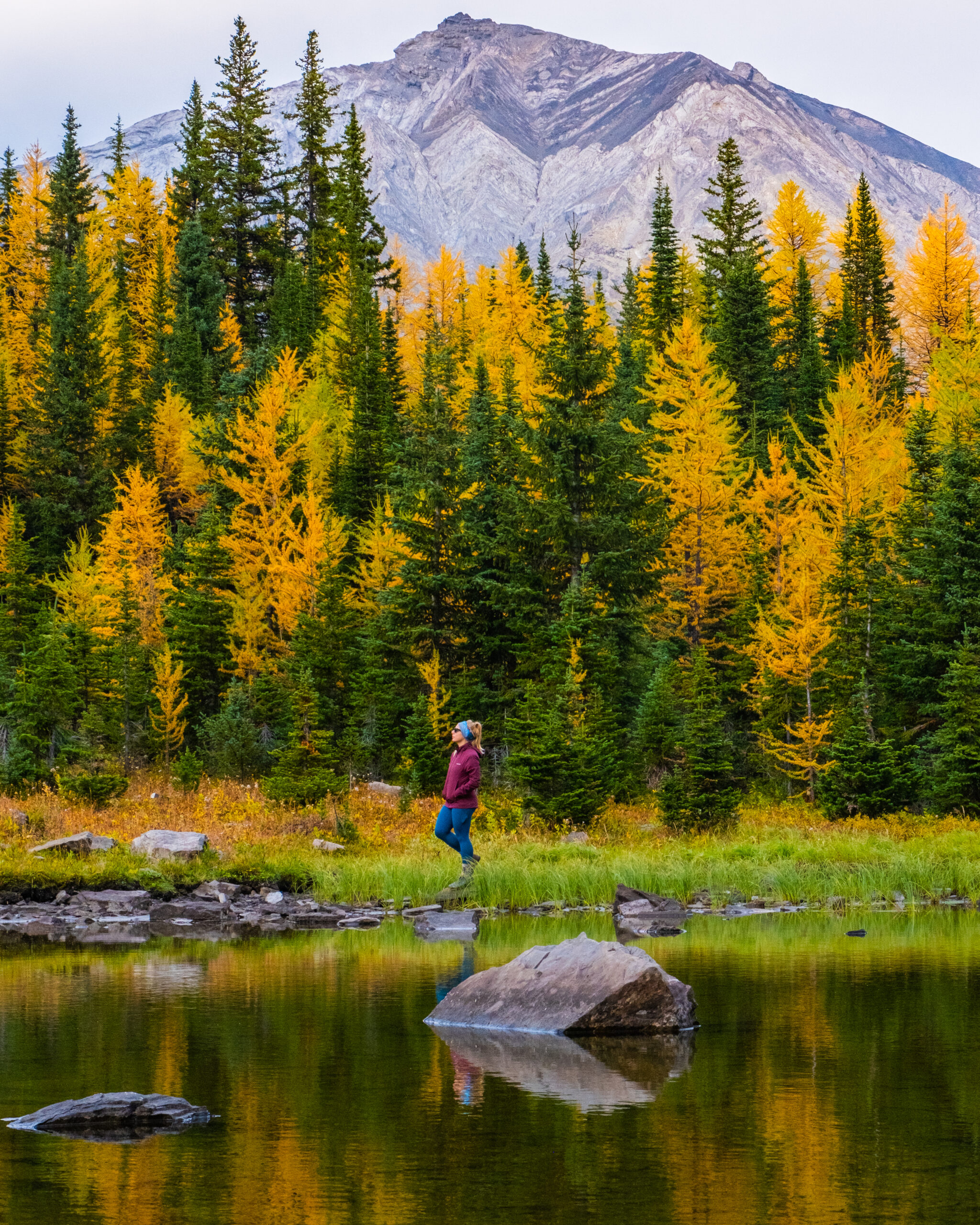 Natasha hiking Pocaterra Ridge during larch season