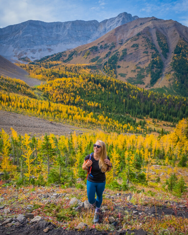 Pocaterra Ridge Hike in Kananaskis - All You Need to Know