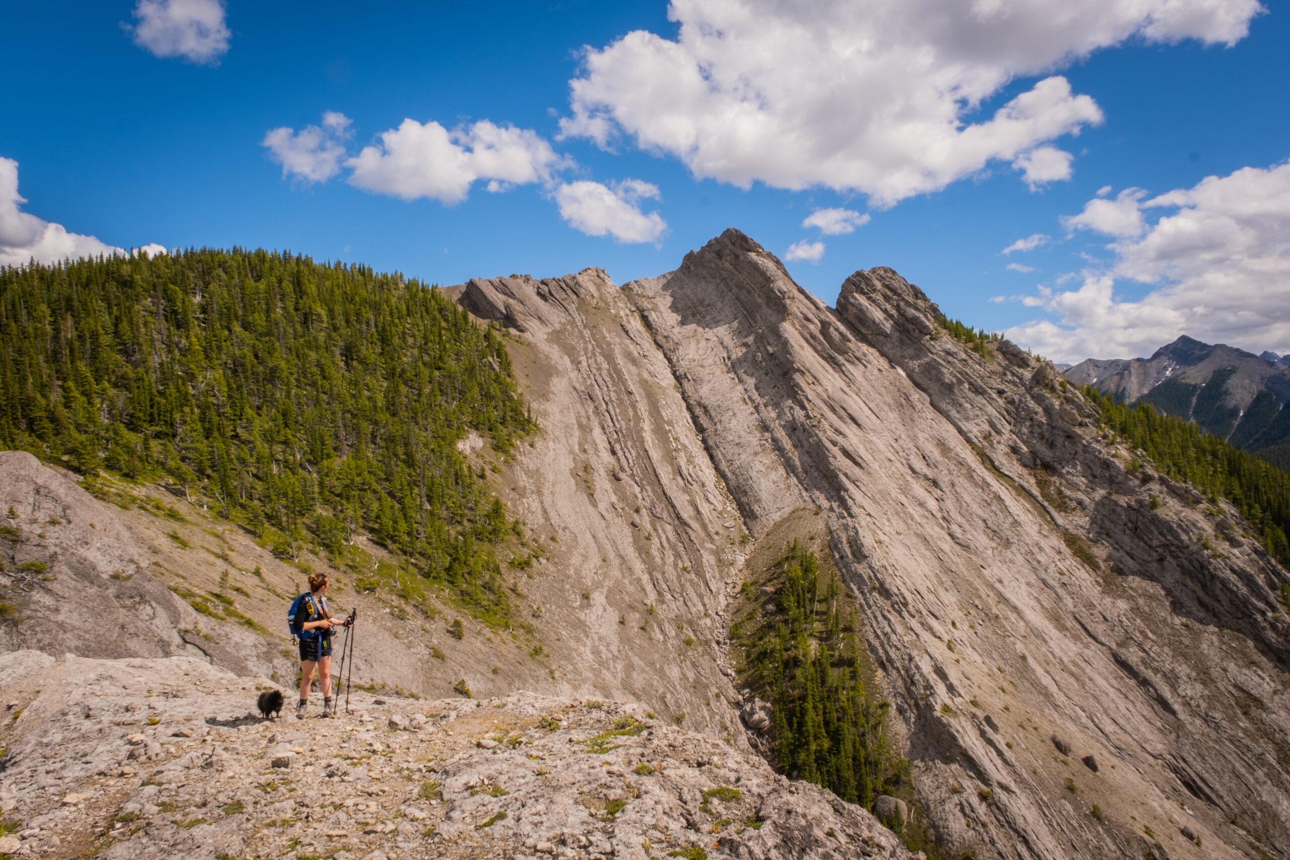 Hiker And Small Dog Walk Along Porcupine Ridge